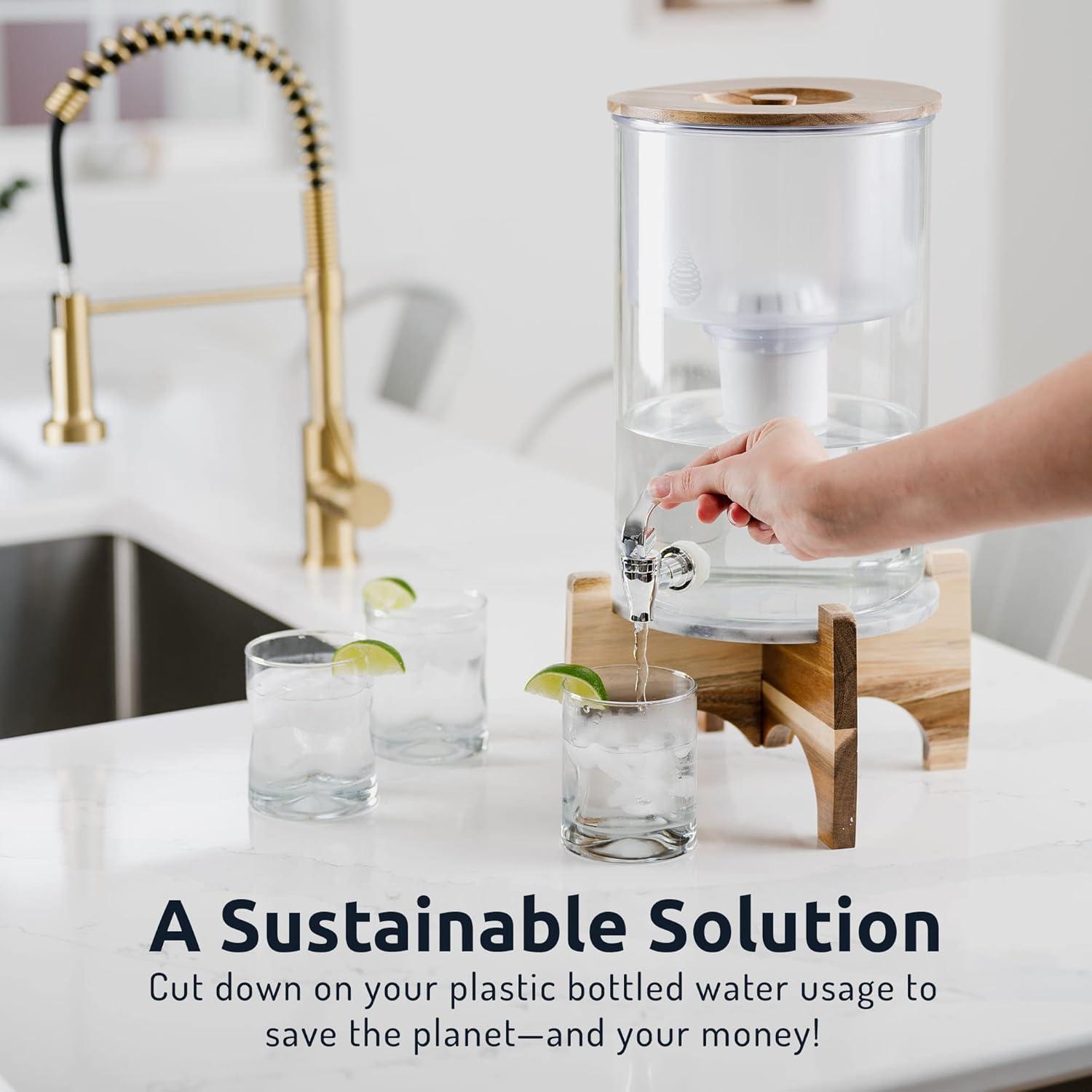 Filtro de Agua Alcalino Invigorated PH001 - 3 Pack