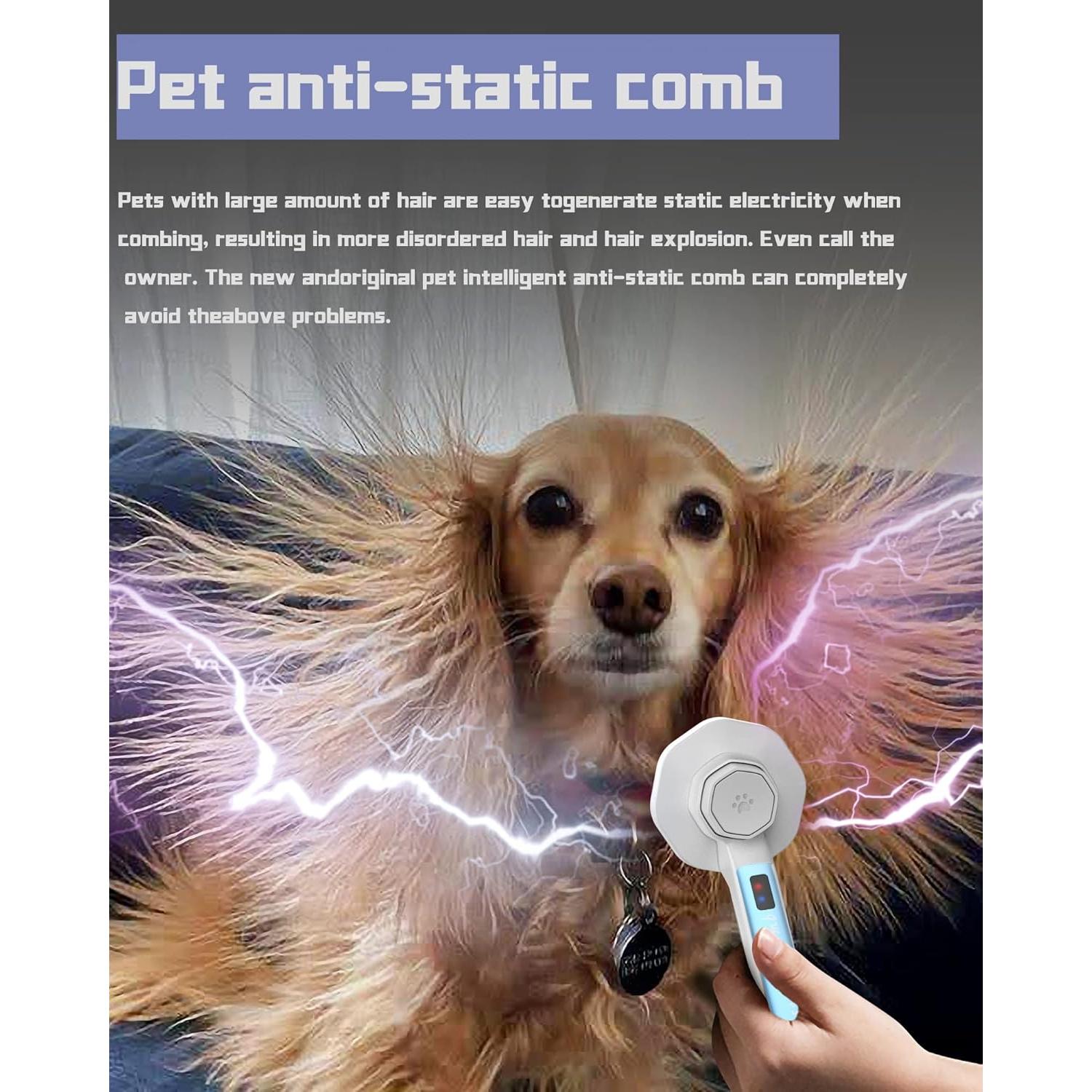 Cepillo Autolimpiante Antiestático para Mascotas Enjoy Fashion - Azul