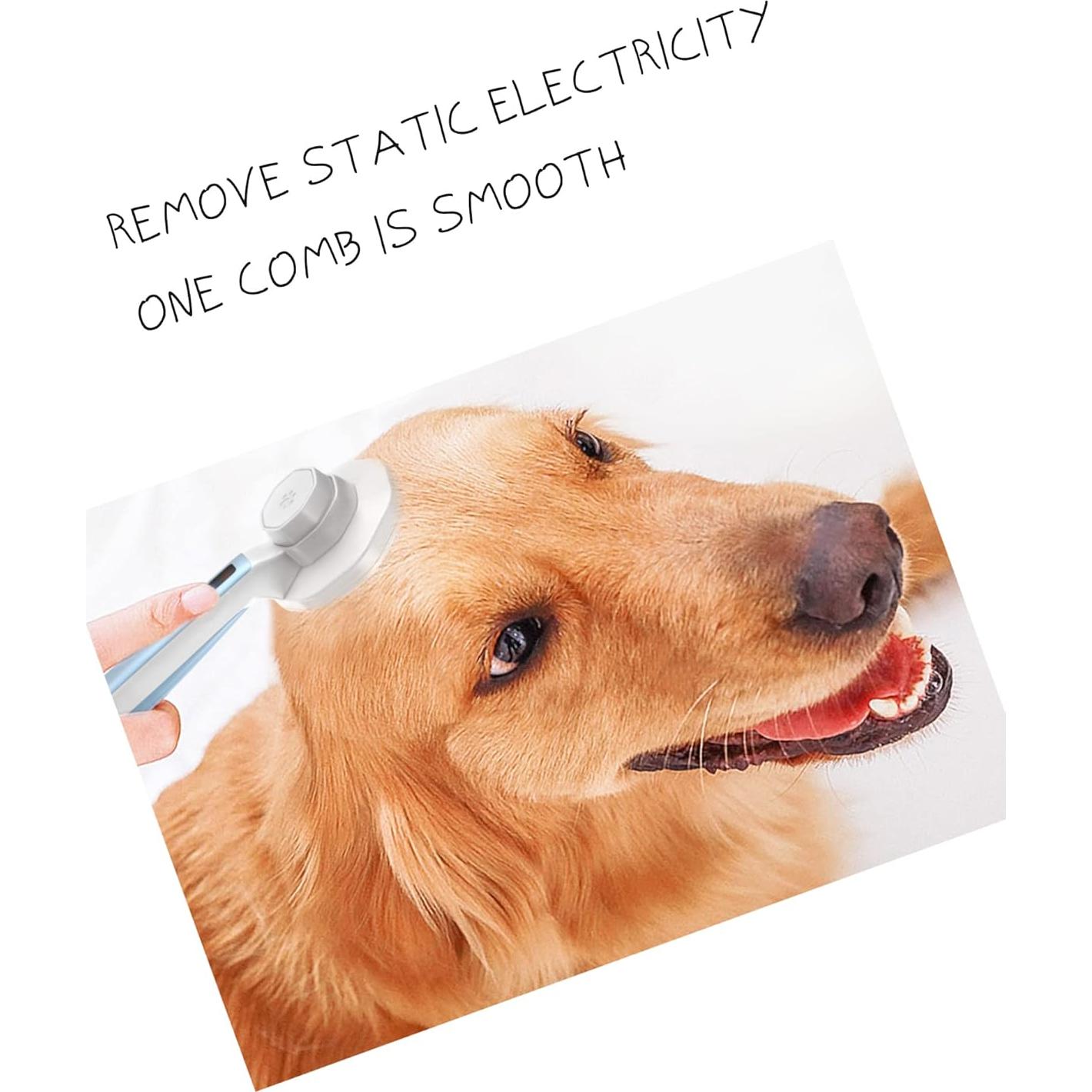 Cepillo Autolimpiante Antiestático para Mascotas Enjoy Fashion - Azul