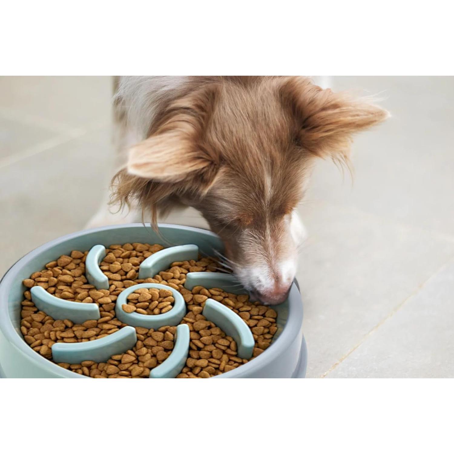 Tazón de Comida para Perros PetBox Azul con Alimentación Lenta