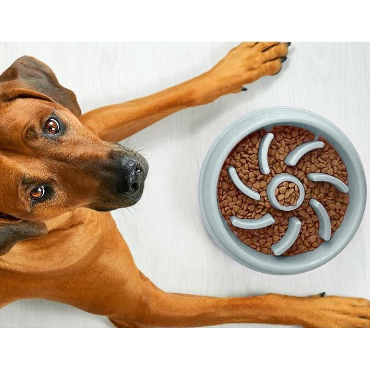 Tazón de Comida para Perros PetBox Azul con Alimentación Lenta