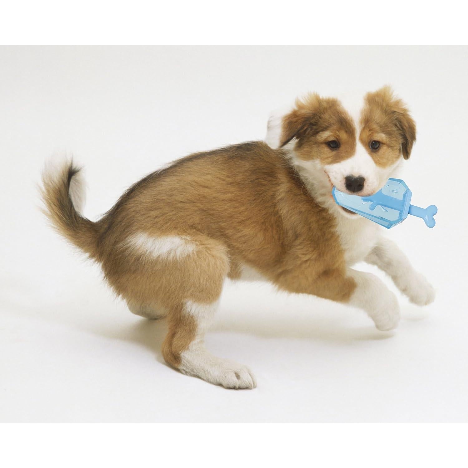 Juguete Enfriable para Perros Pet Life Lamer y Morder Azul