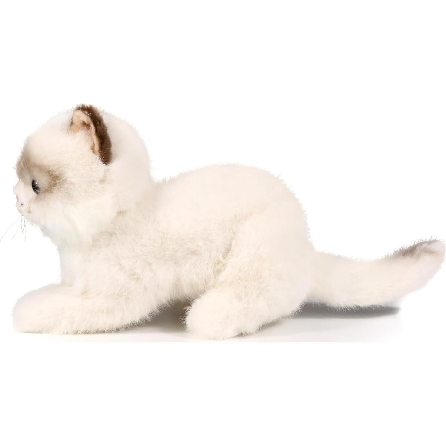 Juguete de Peluche Gato Ragdoll ICE KING BEAR 20 cm Acostado