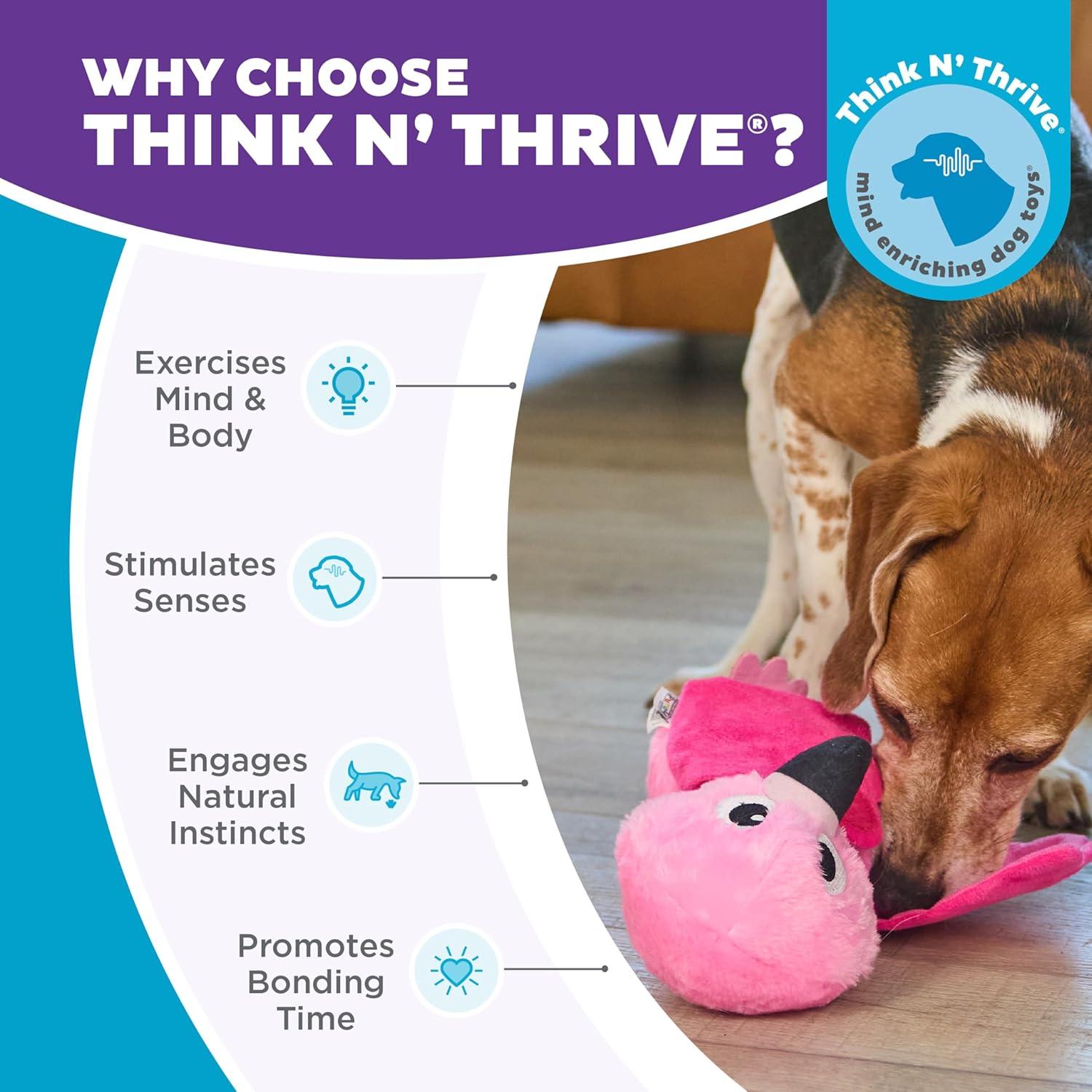 Juguete Interactivo para Perros Outward Hound Flamenco