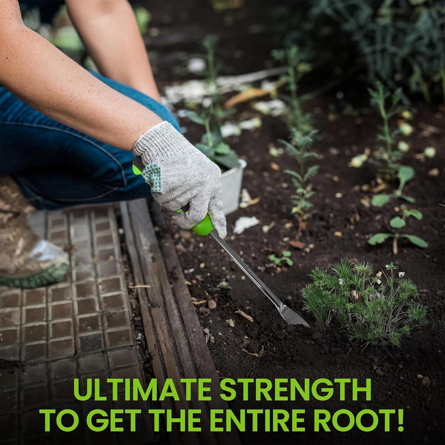 Desmalezadora de Diente de León Garden Guru - Acero Inoxidable