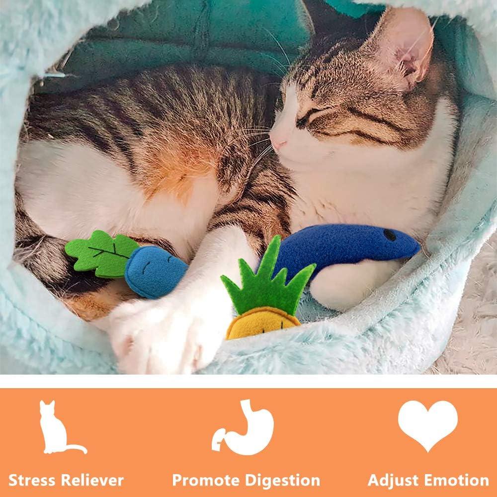 Juguetes de Catnip AWOOF para Gatos - Paquete de 6 Interactivos