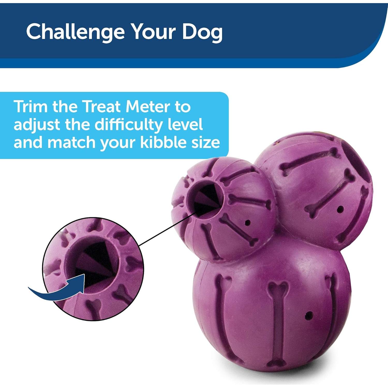 Juguete Interactivo para Perros PetSafe Busy Buddy Barnacle Mediano