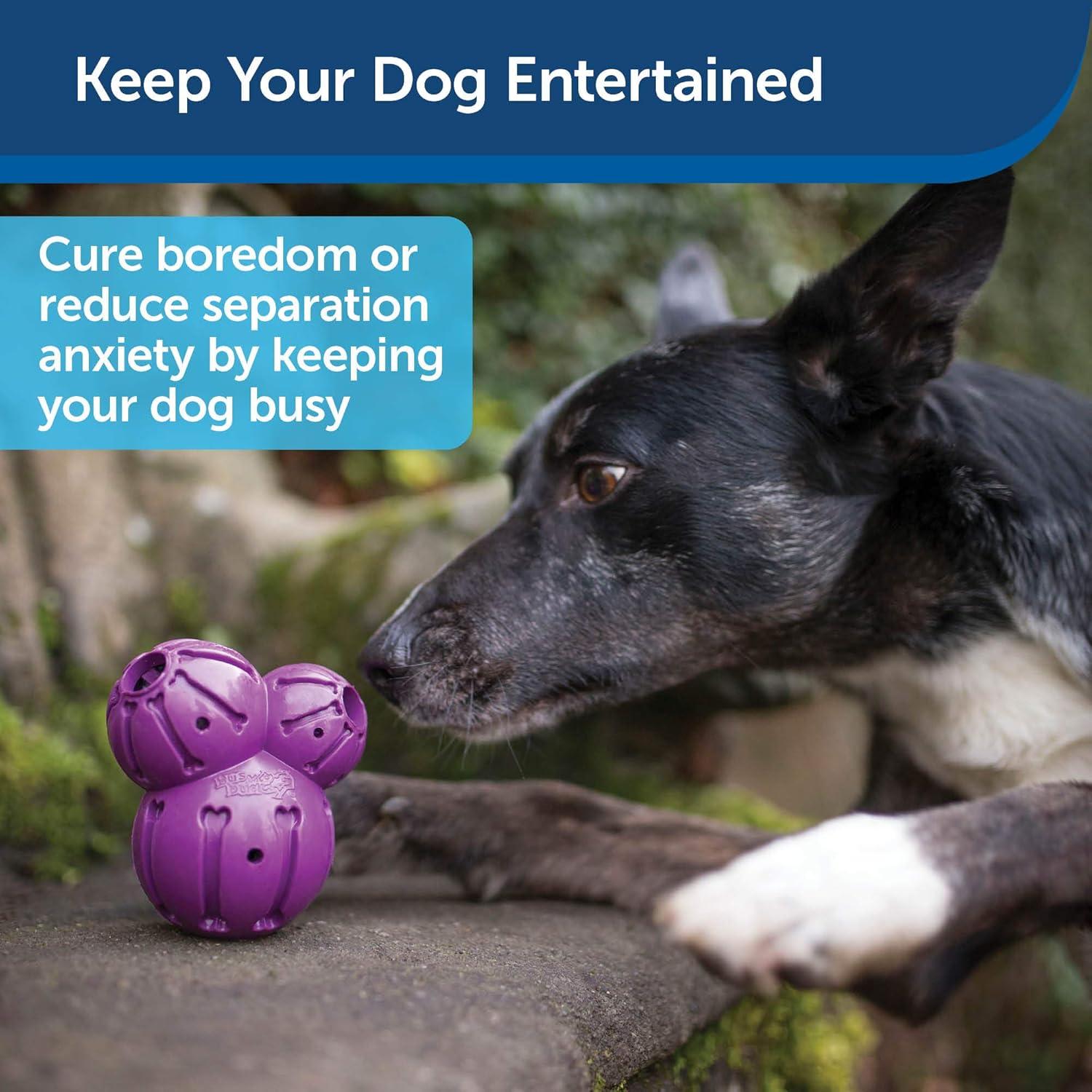 Juguete Interactivo para Perros PetSafe Busy Buddy Barnacle Mediano