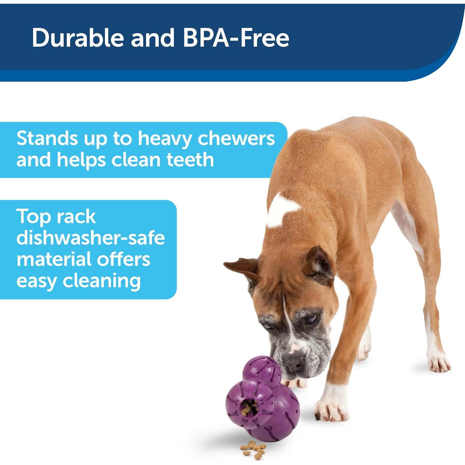 Juguete Interactivo para Perros PetSafe Busy Buddy Barnacle Mediano