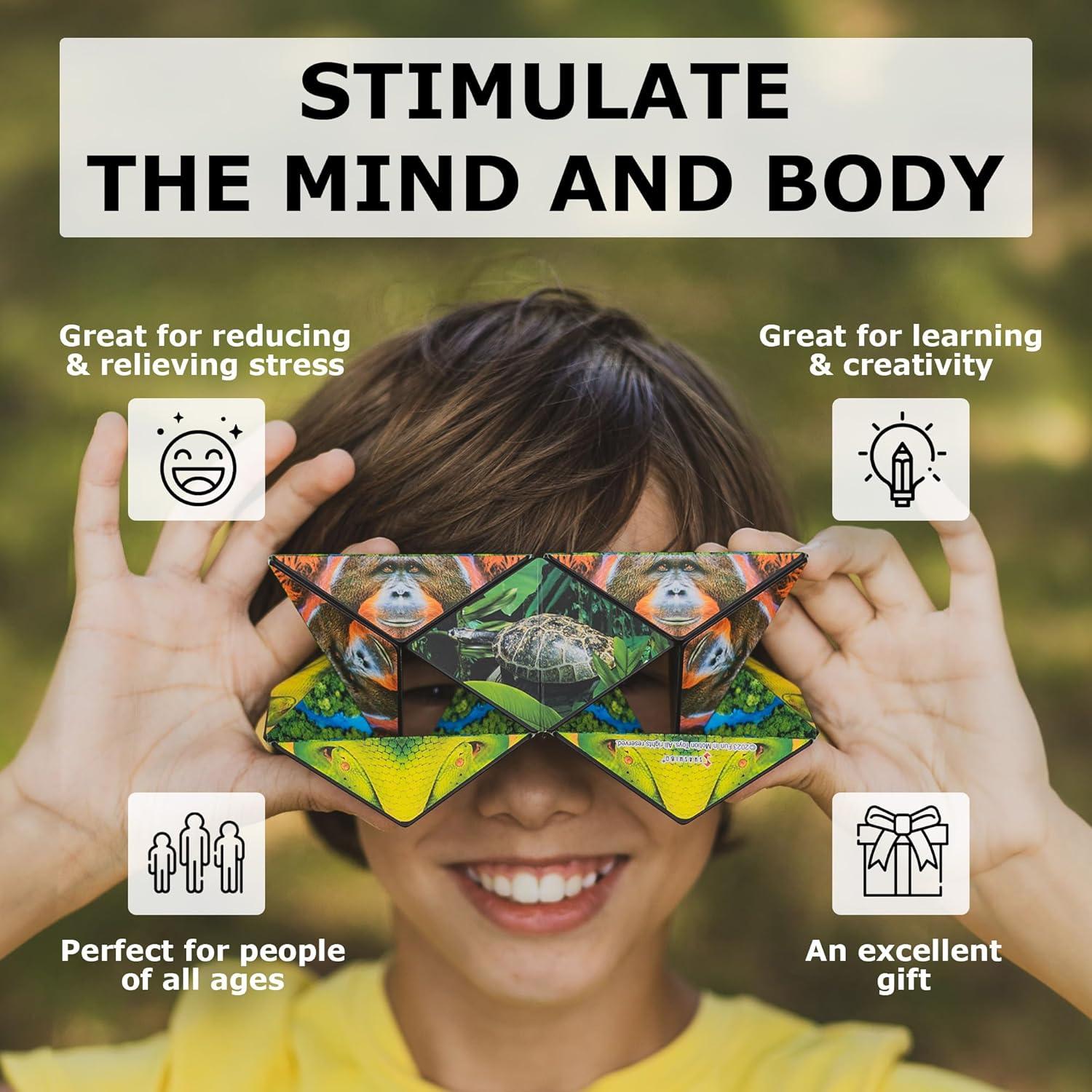 Cubo Antiestrés Shashibo Fun in Motion - 36 Imanes - Bosque