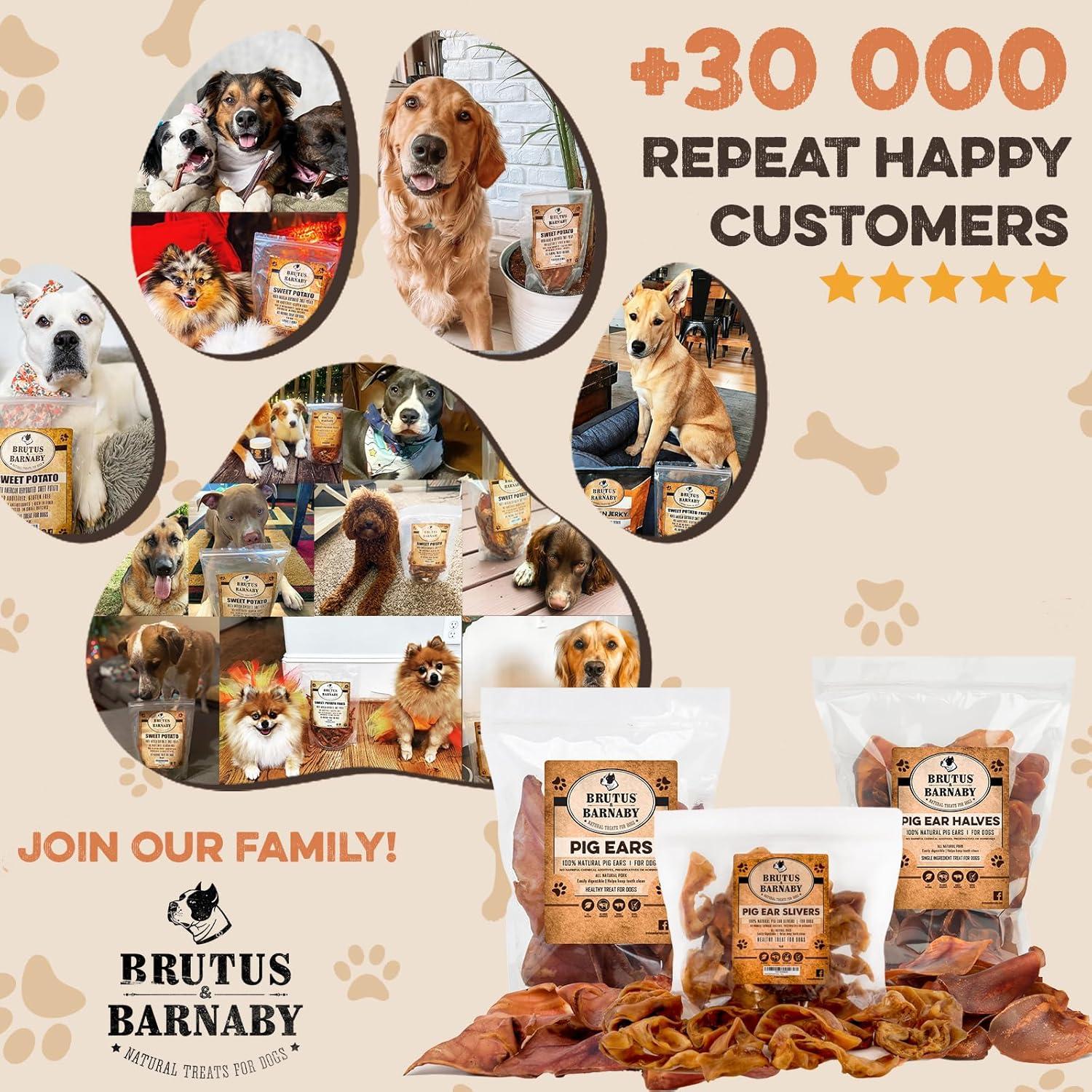 Orejas de Cerdo Enteras Brutus & Barnaby 12 Ct - Masticables Naturales