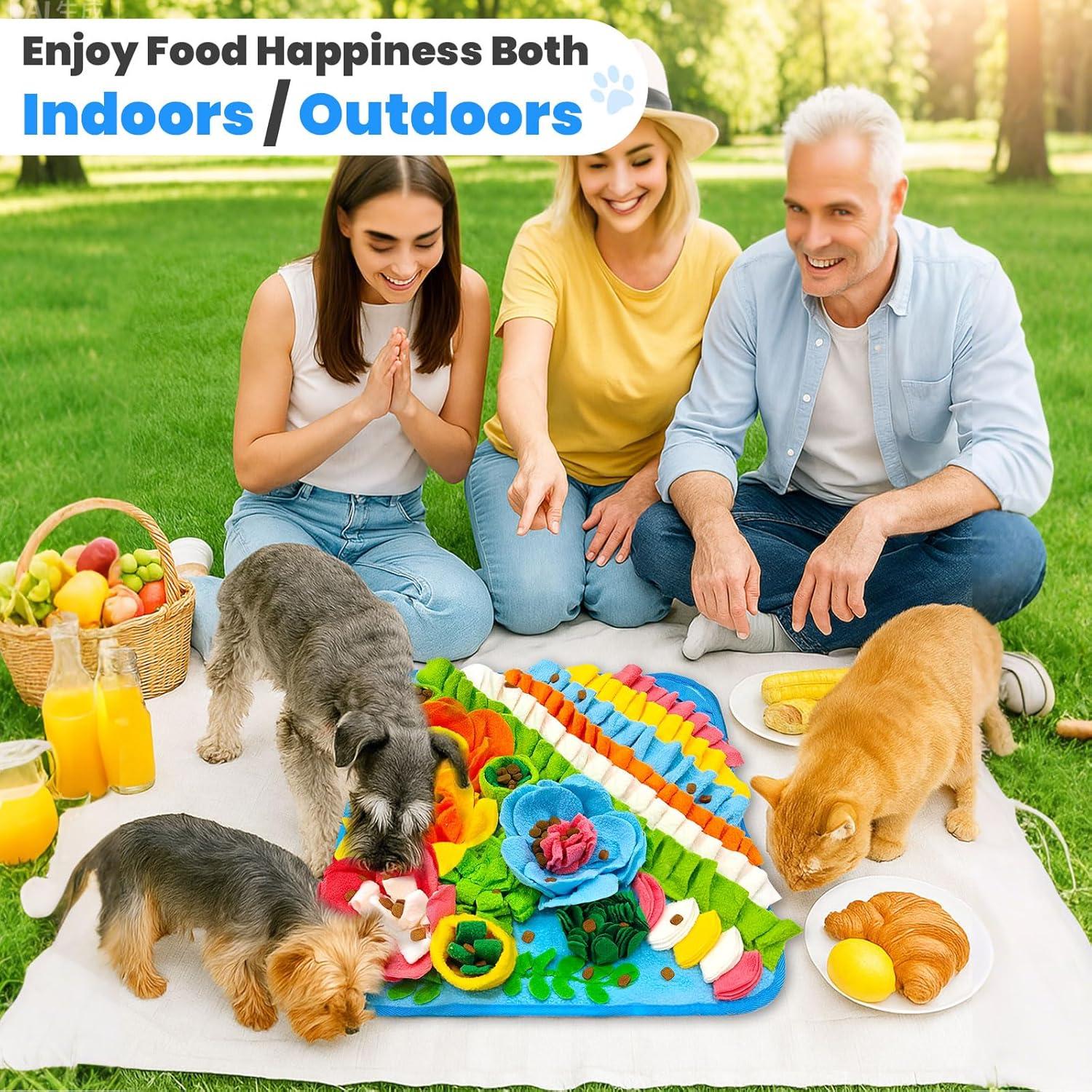 Juego de Alfombra de Olfato y Lamer Petcare 38x38 cm