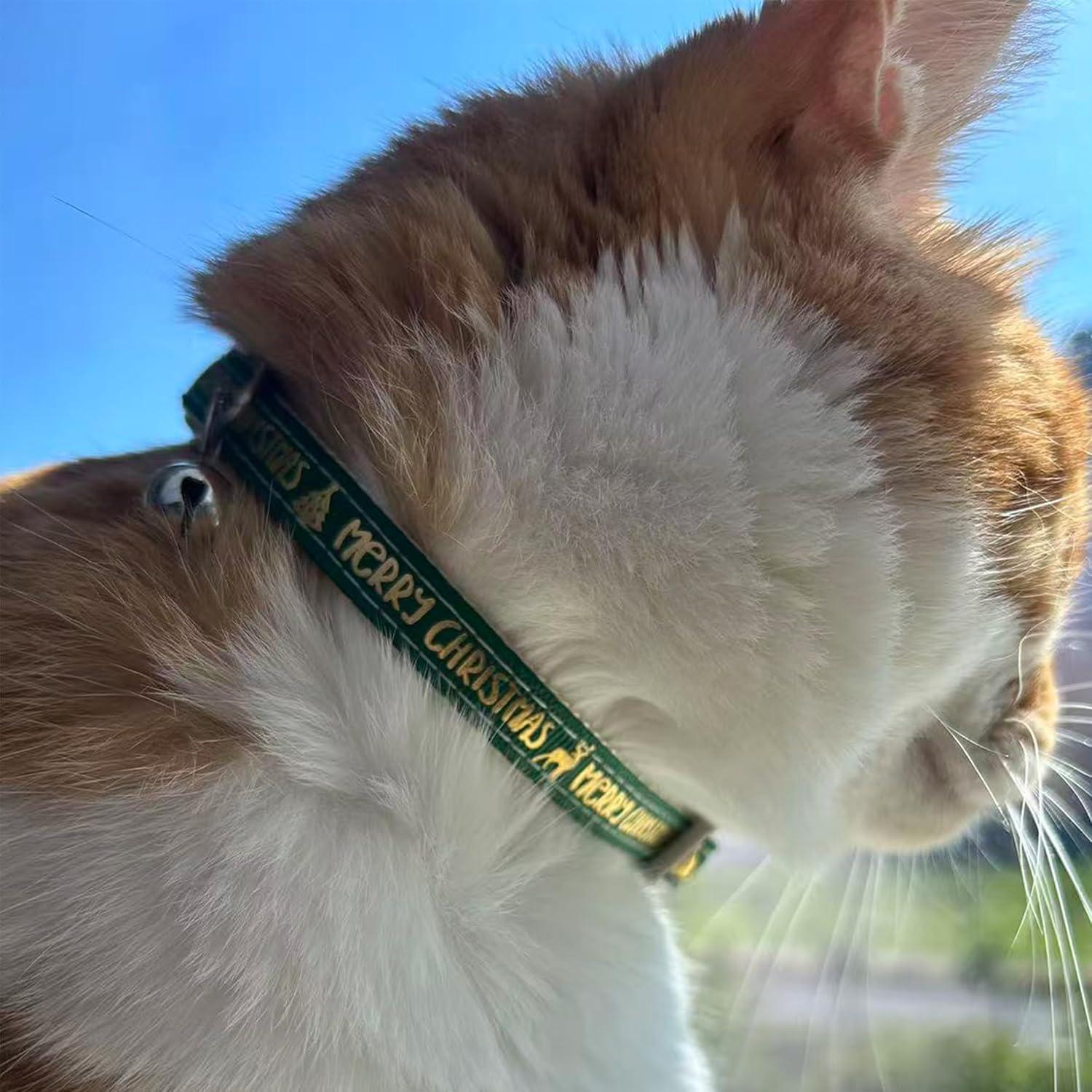 Cepillo deshedding para mascotas Haigele pequeño verde