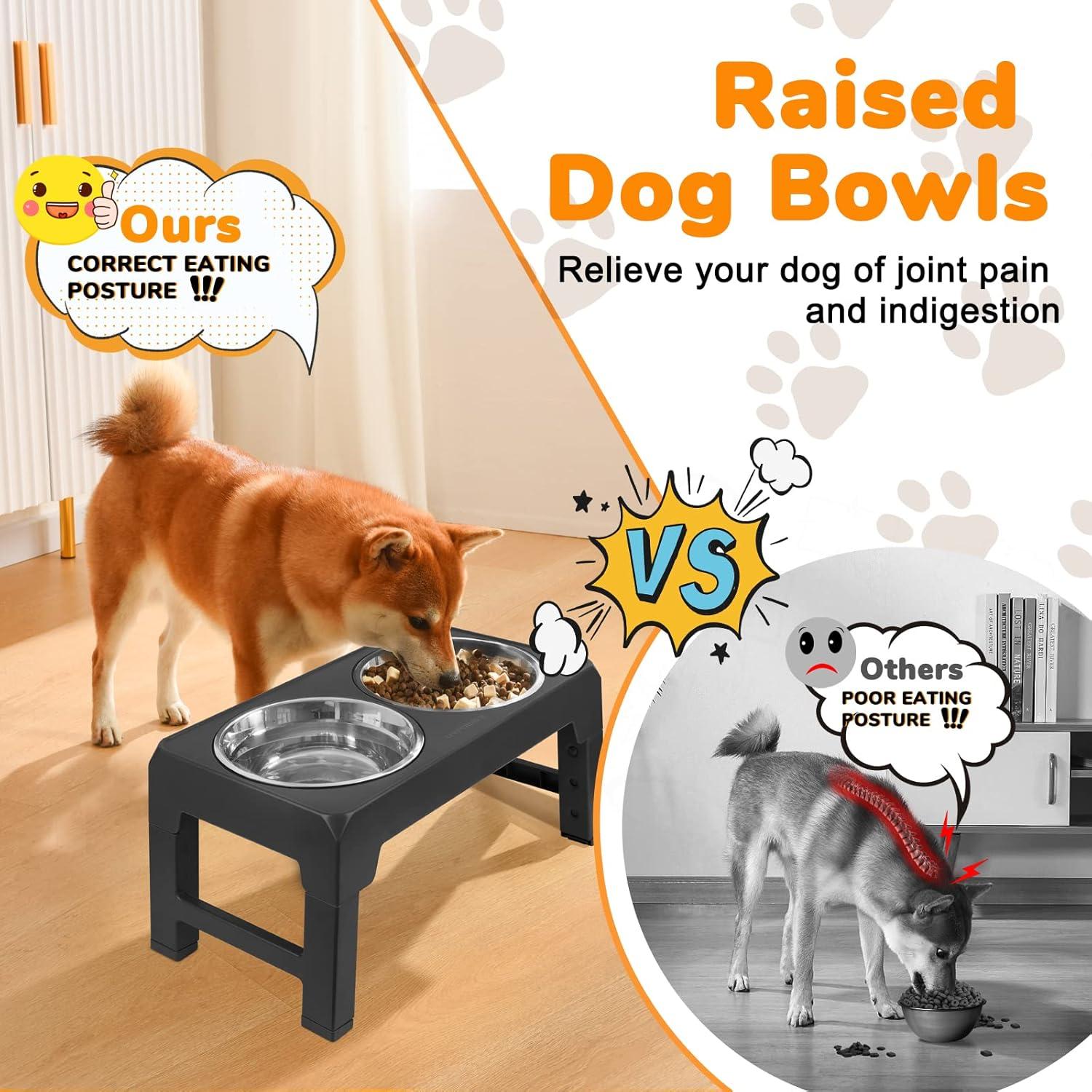 Soporte Elevado para Perros URPOWER 4 Alturas Ajustables