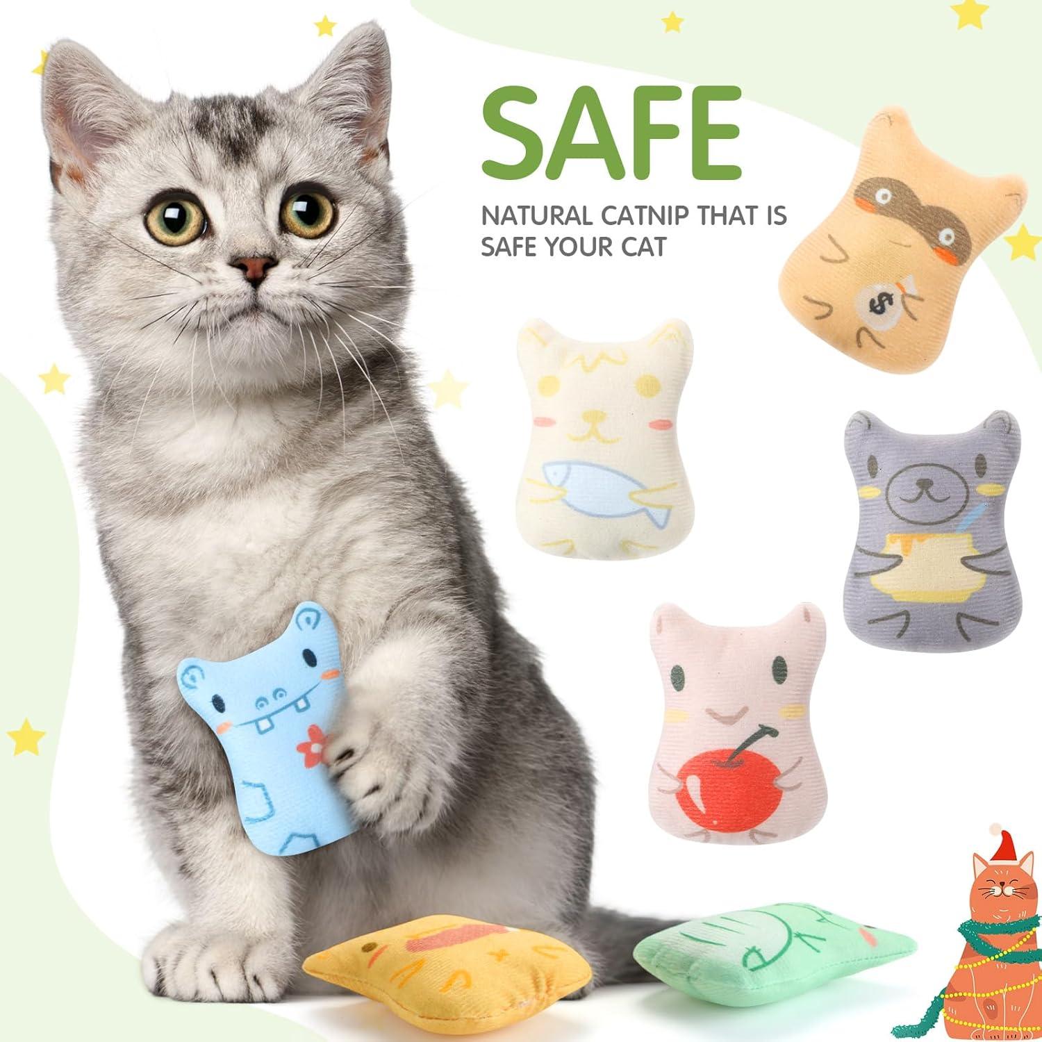 20 Juguetes de Hierba Gatera Gejoy para Gatos de Interior