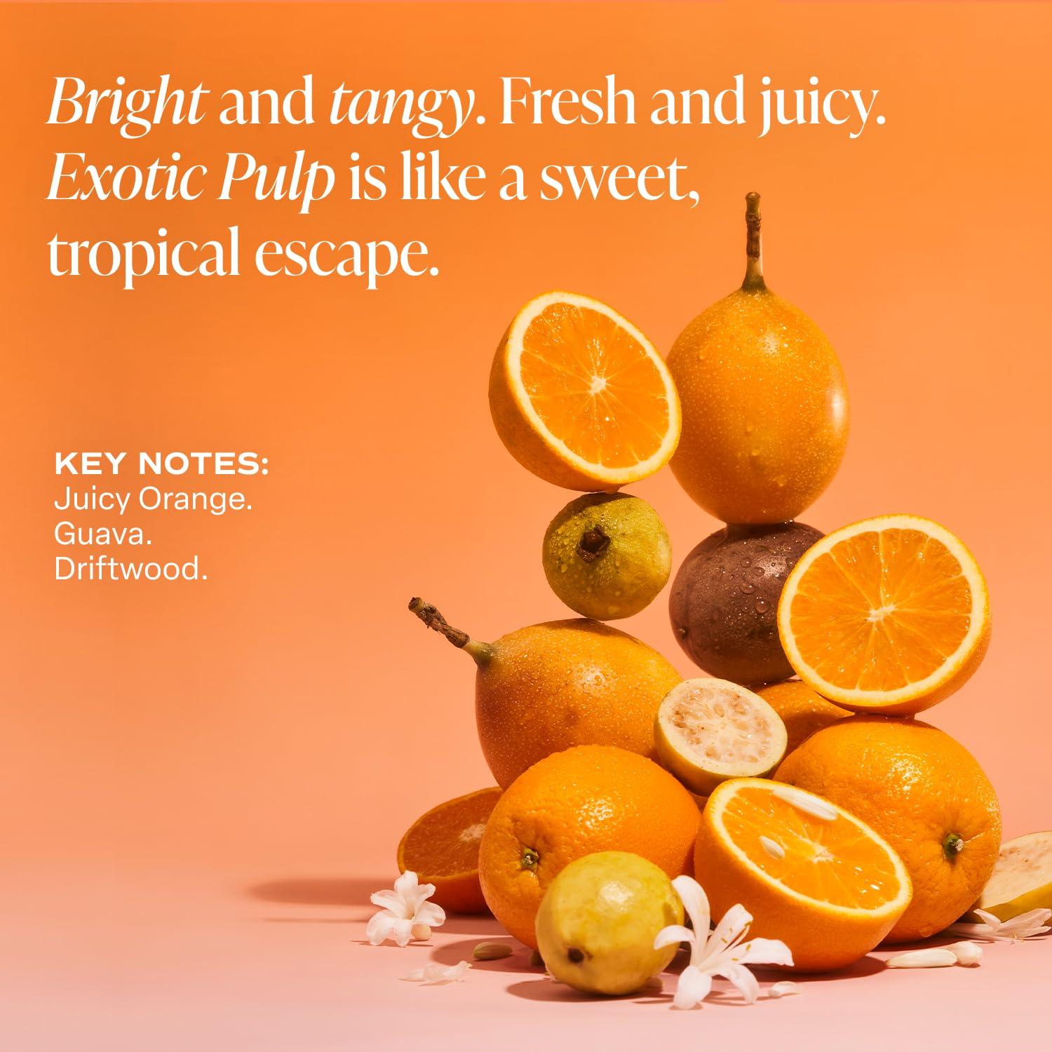 Saltair Skincare Deodorant - Aluminum-Free Deodorant for Women with Long Lasting Odor Protection Zinc and BHA. Refillable Stick, Suitable for Sensitive Skin, 2 Pack Exotic Pulp Scent