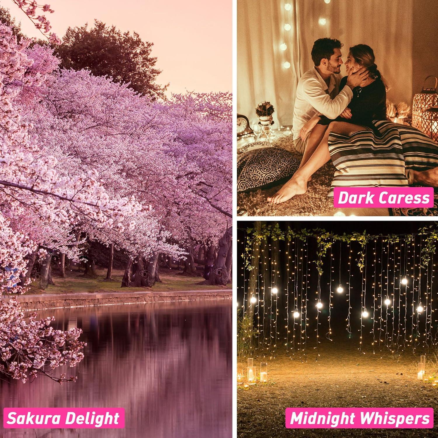 Set de Aceites Aromáticos ESSLUX 10ml x6 para Difusores