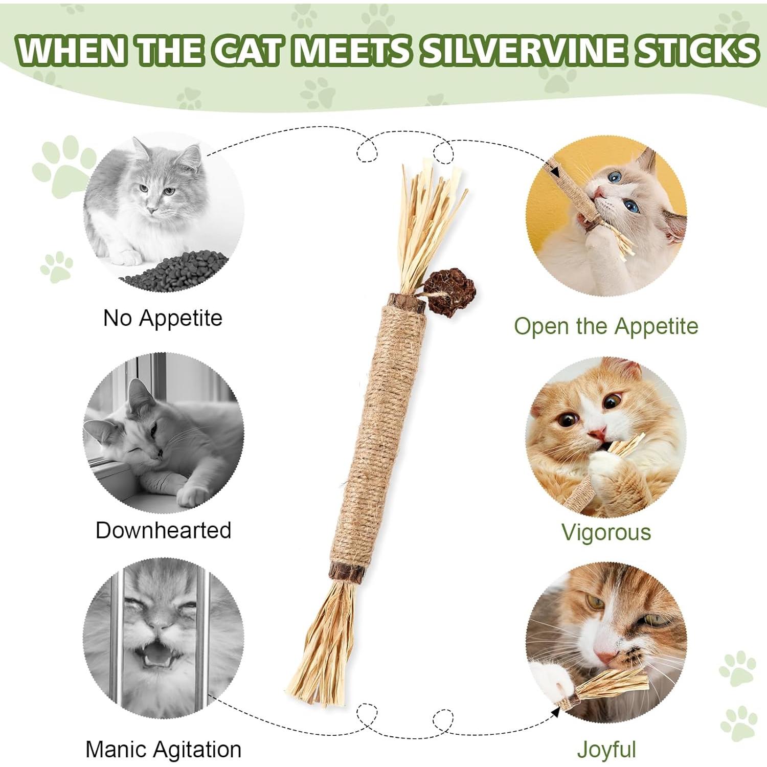 Paquete de 6 Palos de Silvervine WOUSEDO para Gatos