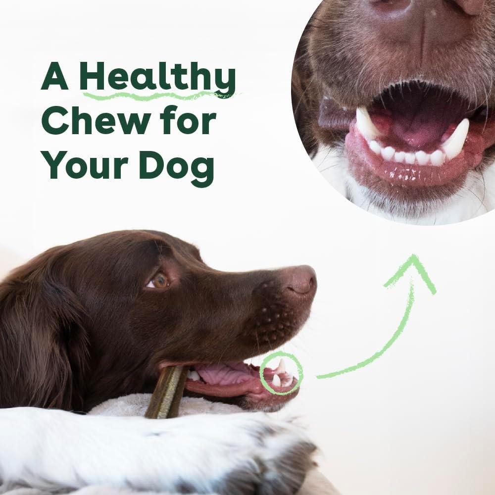 Pupford Dental Chews para Perros 10.16 cm - 14 Unidades