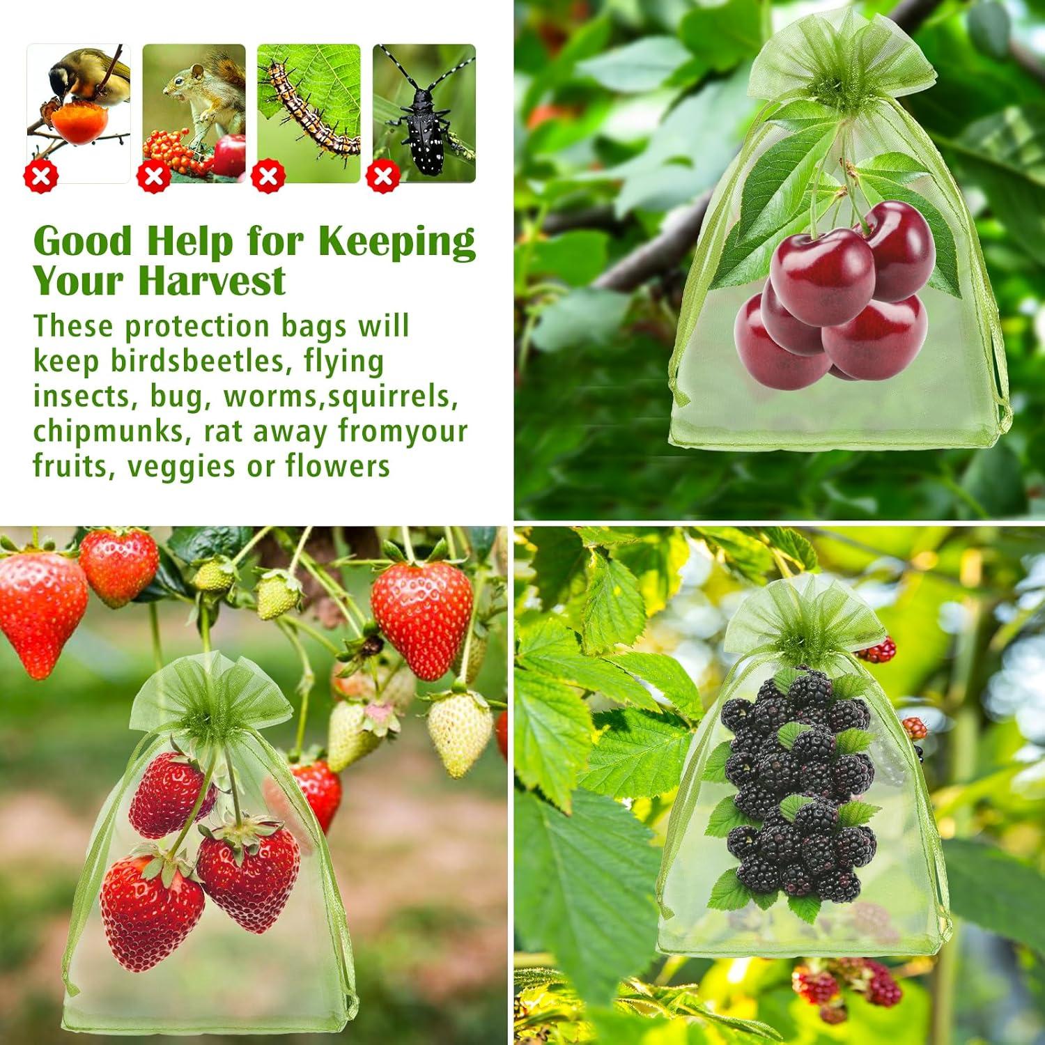 50 Bolsas de Protección de Frutas FloraSea 15x10 cm Verde