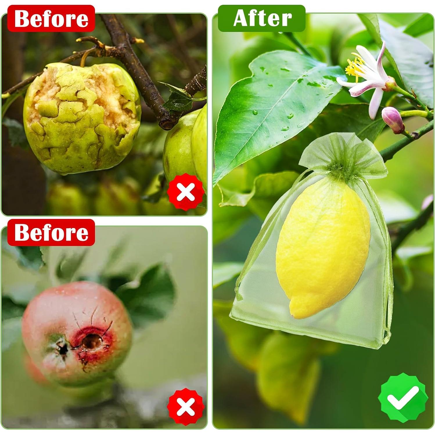 50 Bolsas de Protección de Frutas FloraSea 15x10 cm Verde