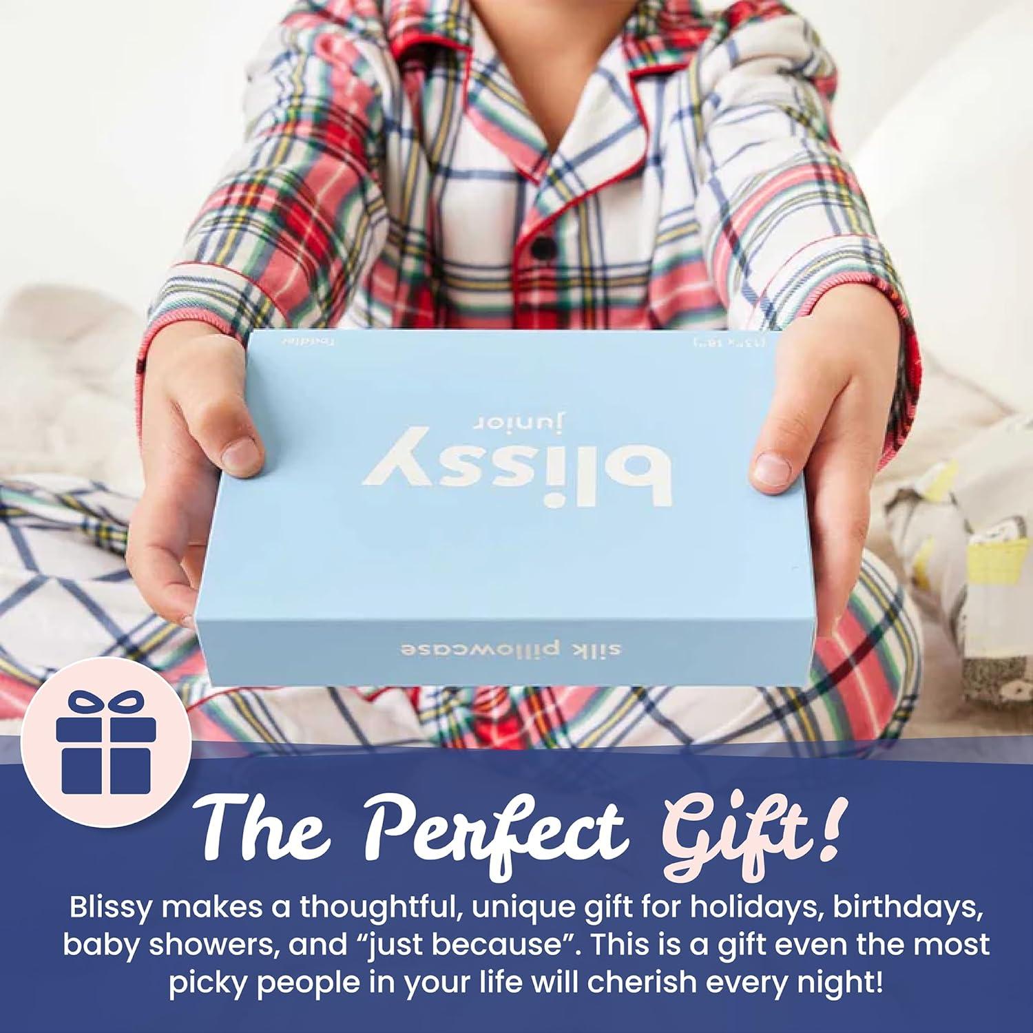 Funda de Almohada de Seda Blissy 100% Pura 50.8x66 cm Azul Bebé