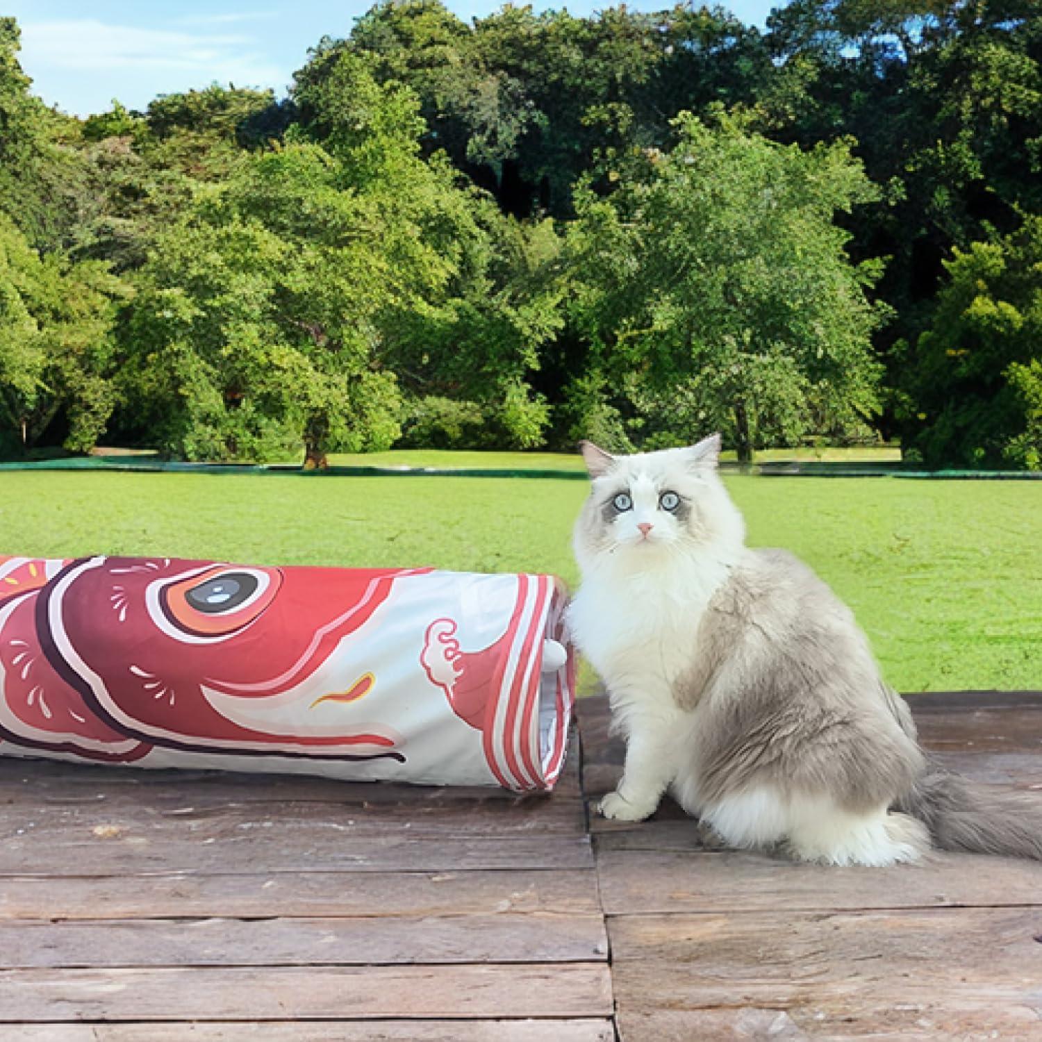 Túnel Interactivo para Gatos Dsumky Plegable 90 cm Negro