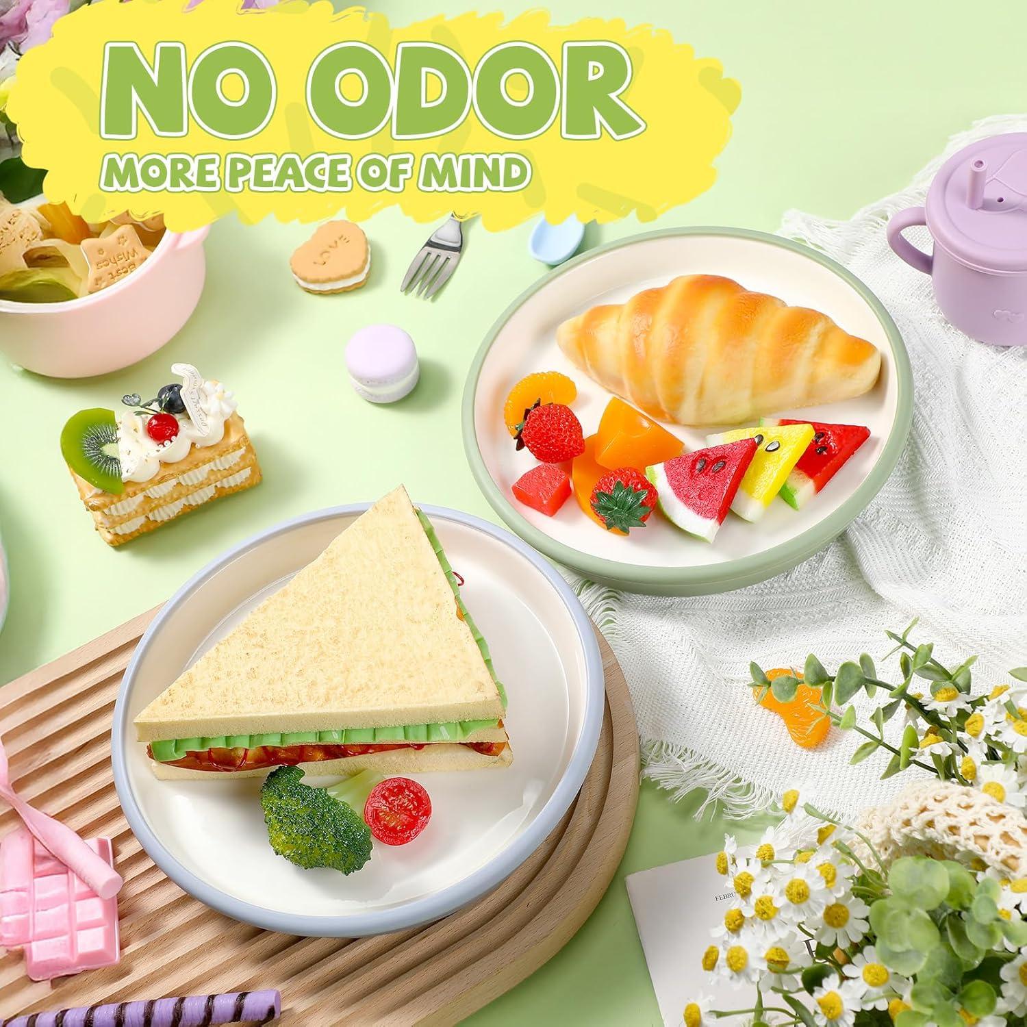 Platos de Porcelana para Niños Domensi con Succión Silicona 20.3cm