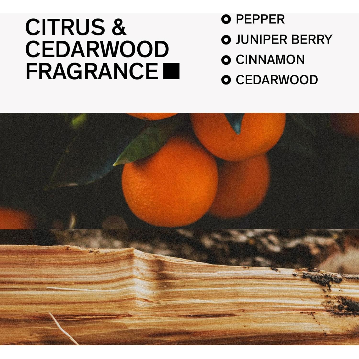 Desodorante Natural Bravo Sierra 90.7g - Sin Aluminio, Cítricos y Madera de Cedro