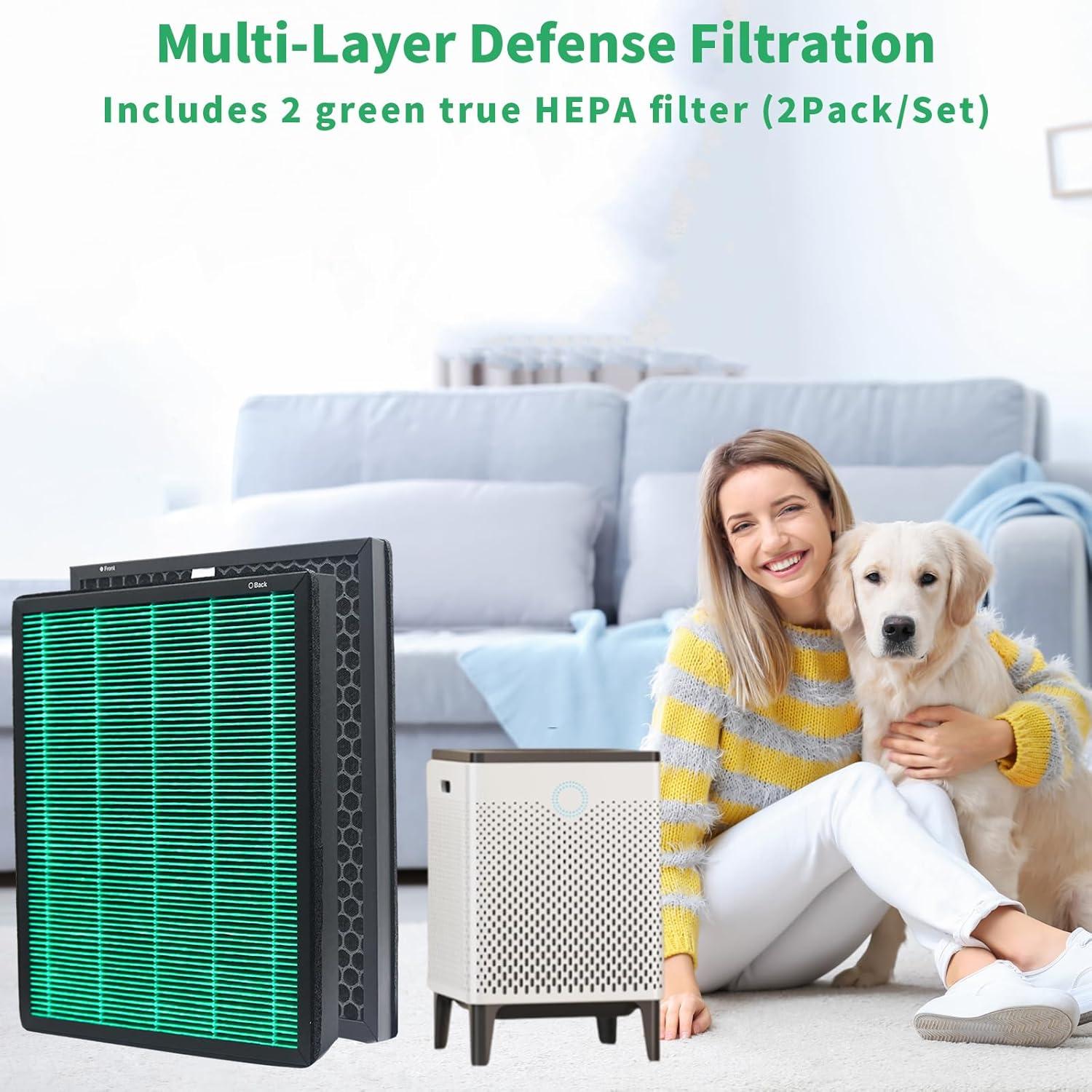 Paquete de 2 Filtros HEPA y Carbón Activo Coway AIRMEGA 400S