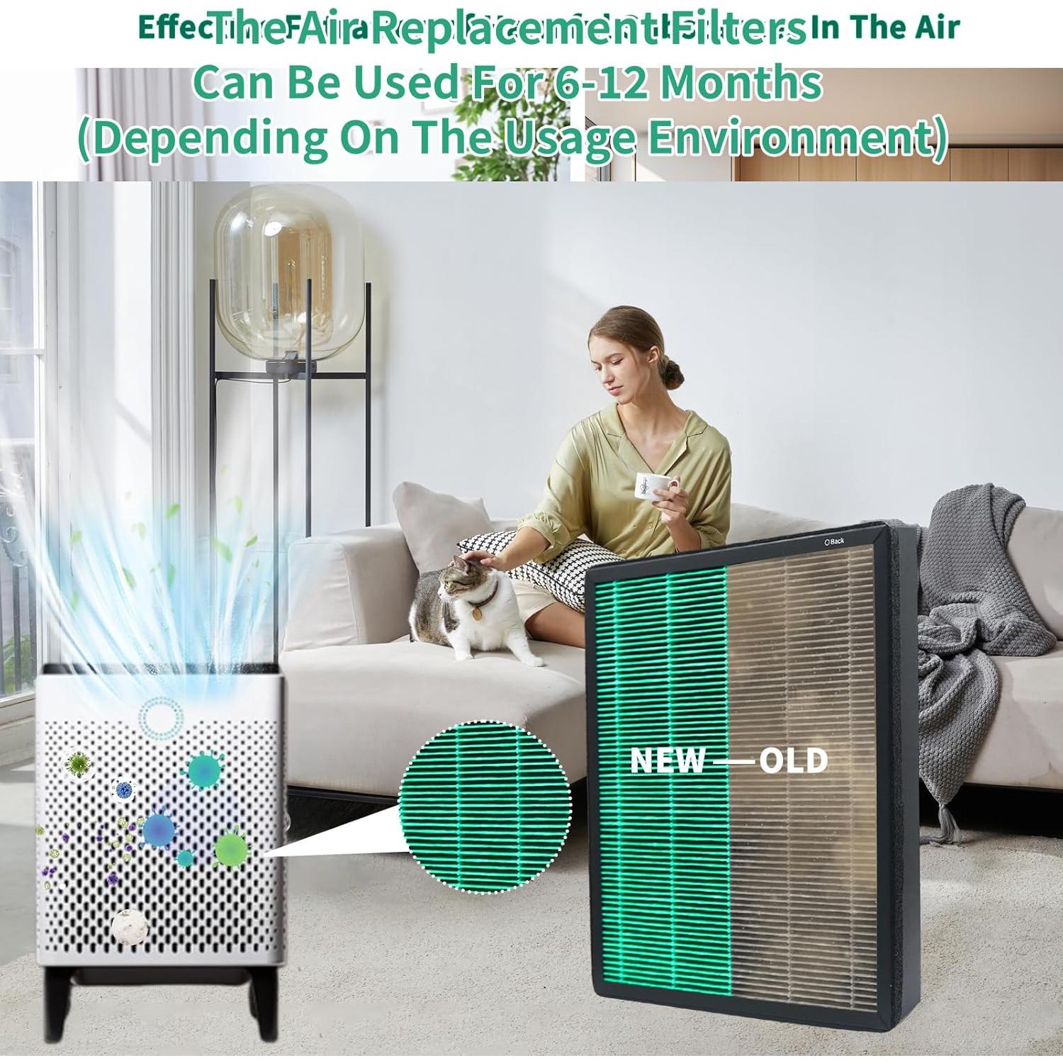 Paquete de 2 Filtros HEPA y Carbón Activo Coway AIRMEGA 400S