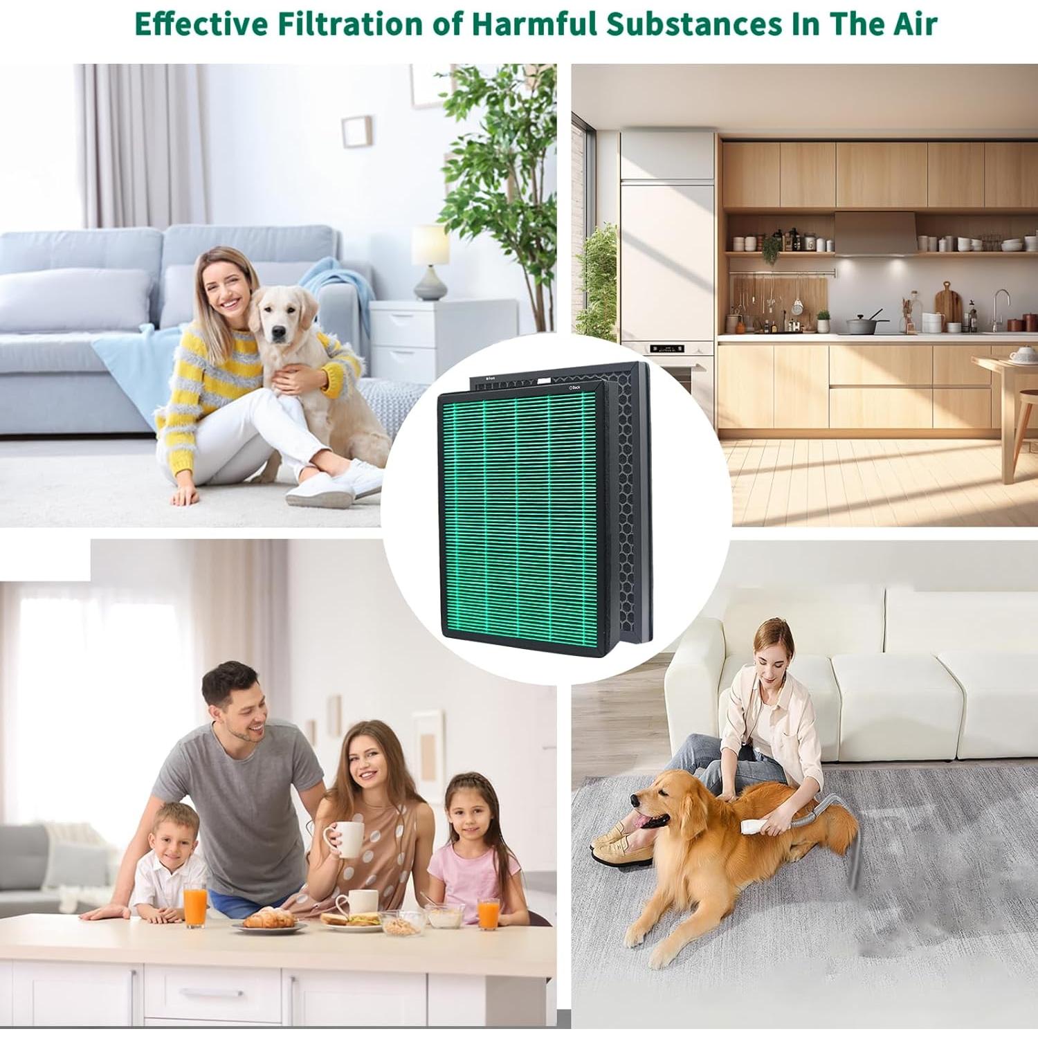 Paquete de 2 Filtros HEPA y Carbón Activo Coway AIRMEGA 400S