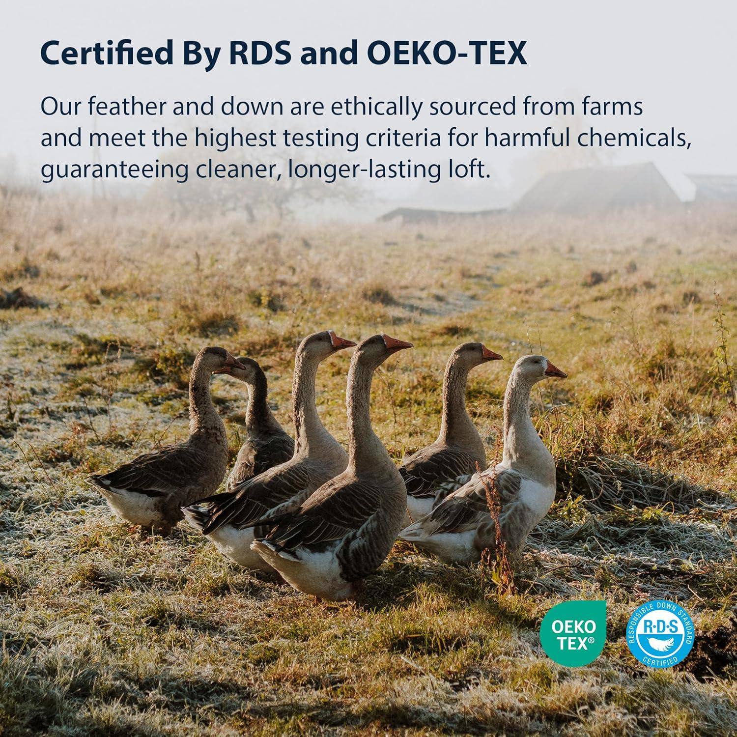 Almohada de Cama Pacific Coast Estándar Plumas de Ganso 1 Paquete