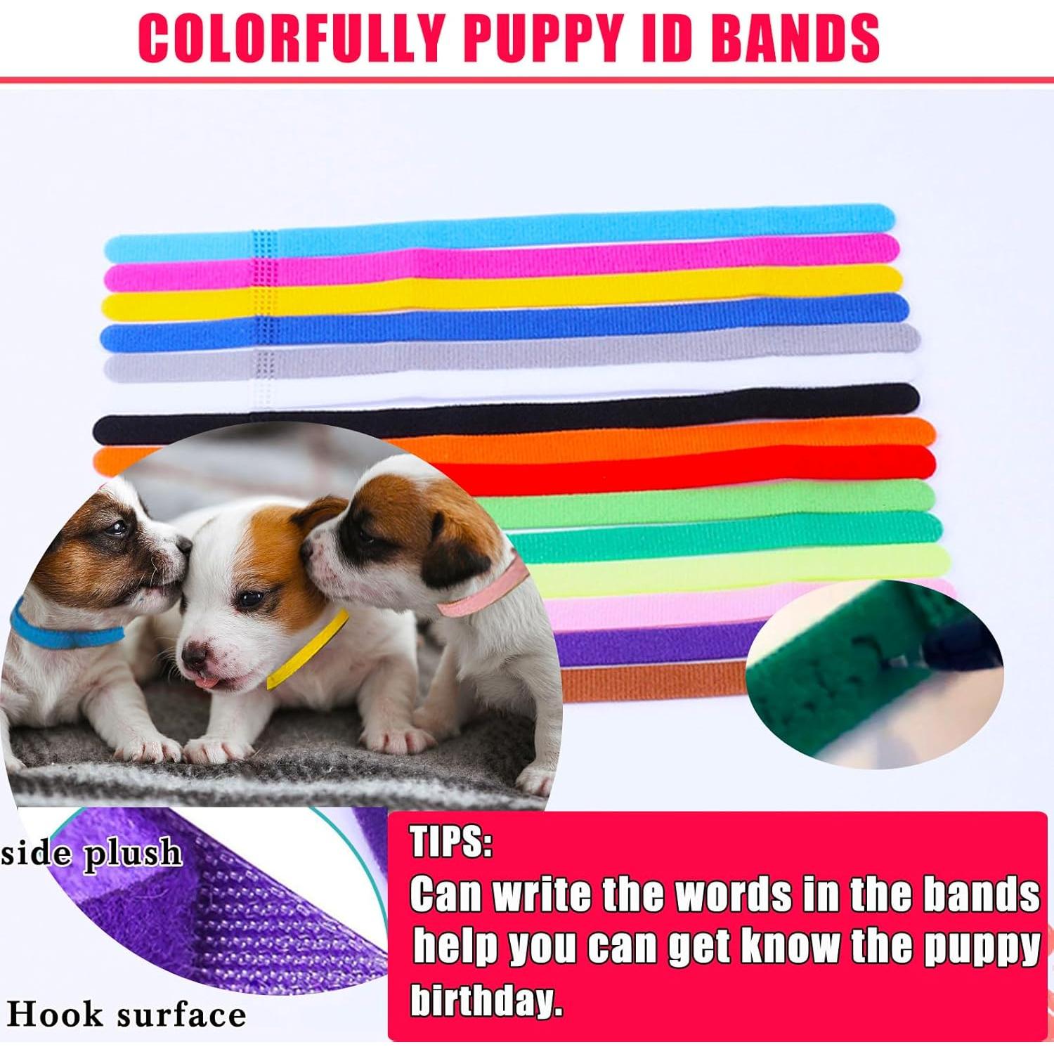 Kit de Parto para Cachorros y Gatitos Kewen - Completo