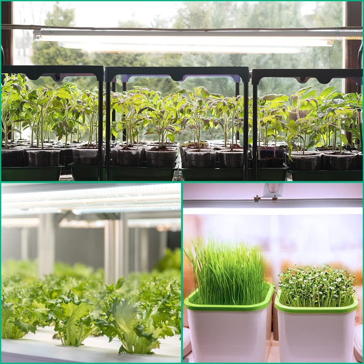 Luces de Crecimiento LED 5000K 42.67cm 20W 2 Piezas HongHu