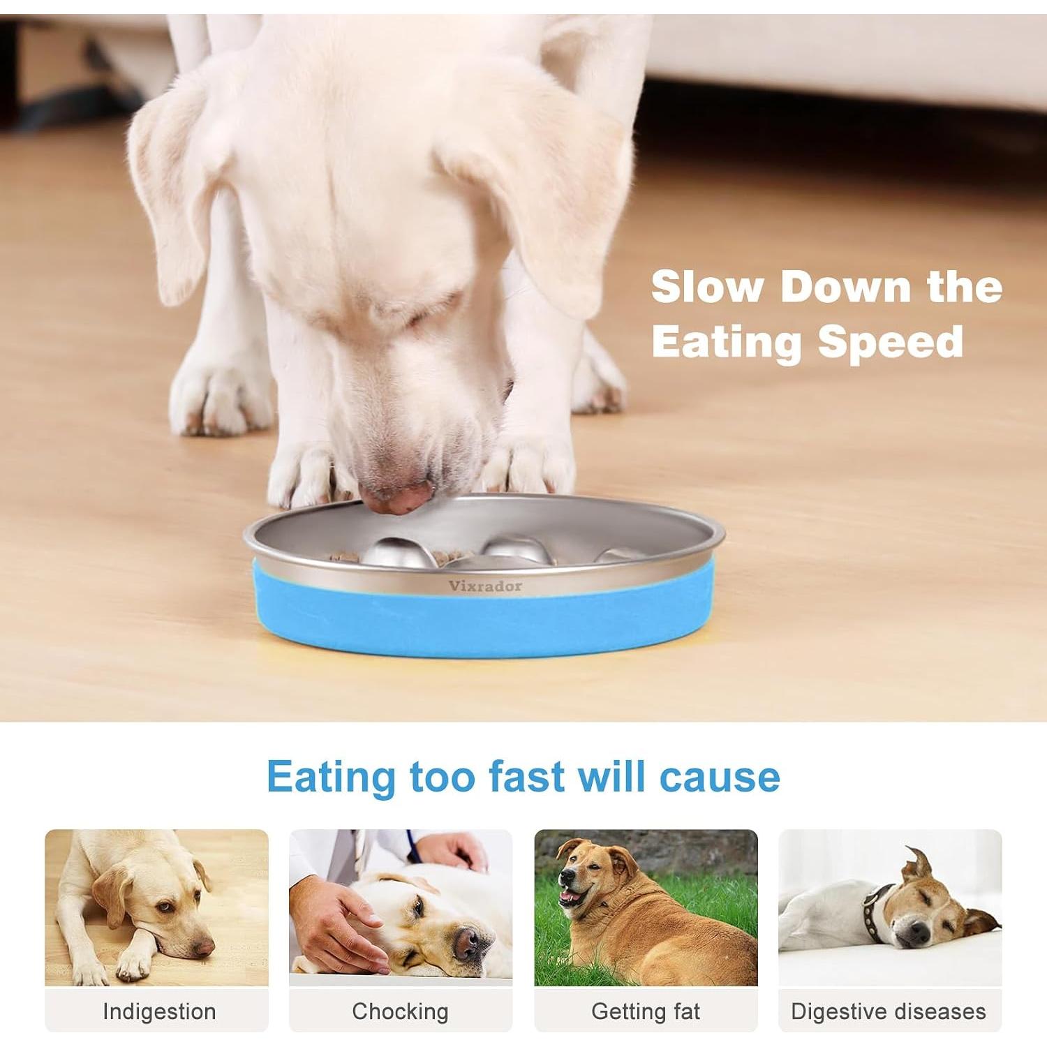 Cuenco de Alimentación Lenta Vixrador Acero Inoxidable 2 Tazas Azul