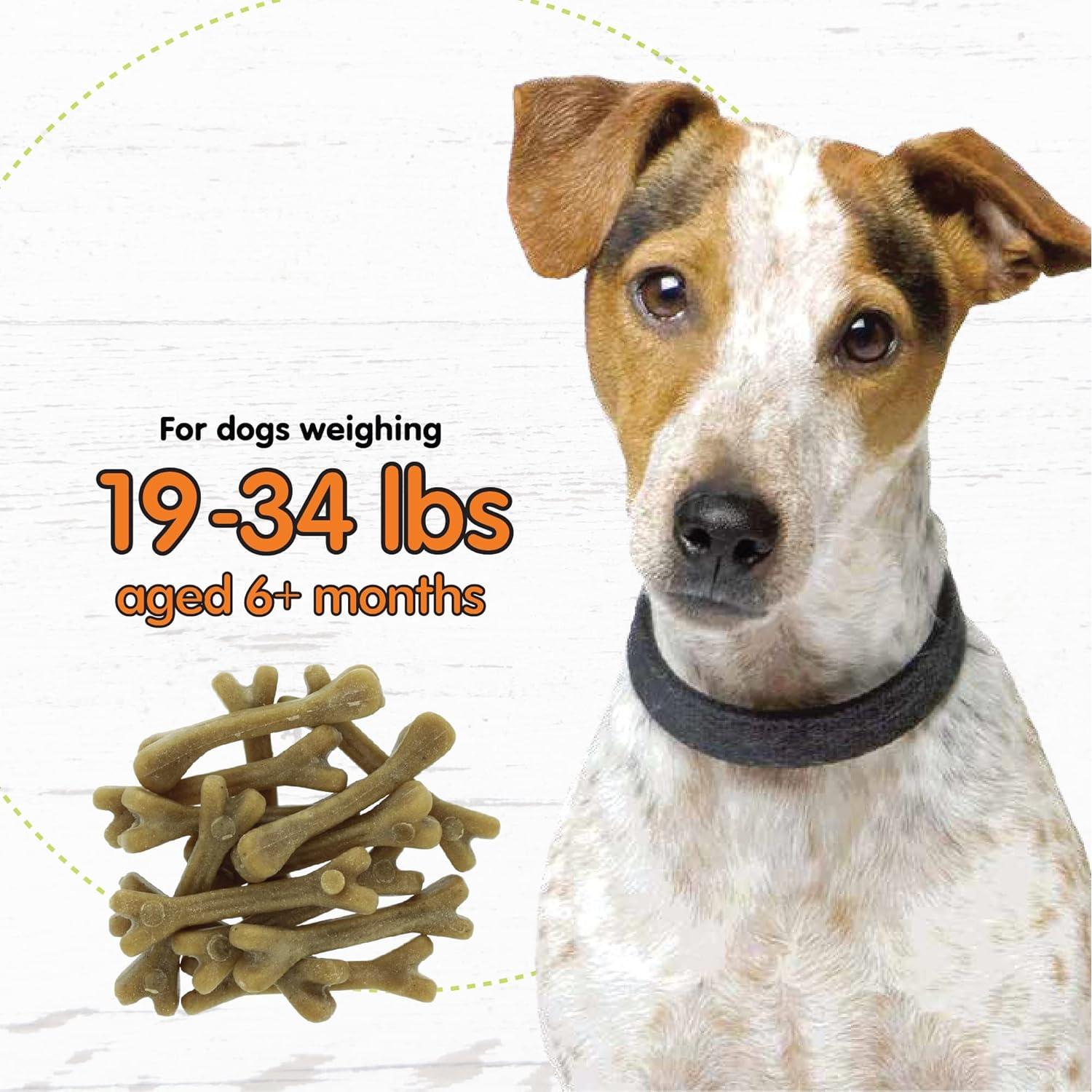 Huesos Dentales Fido Super Breath para Perros Pequeños - 13 Unidades