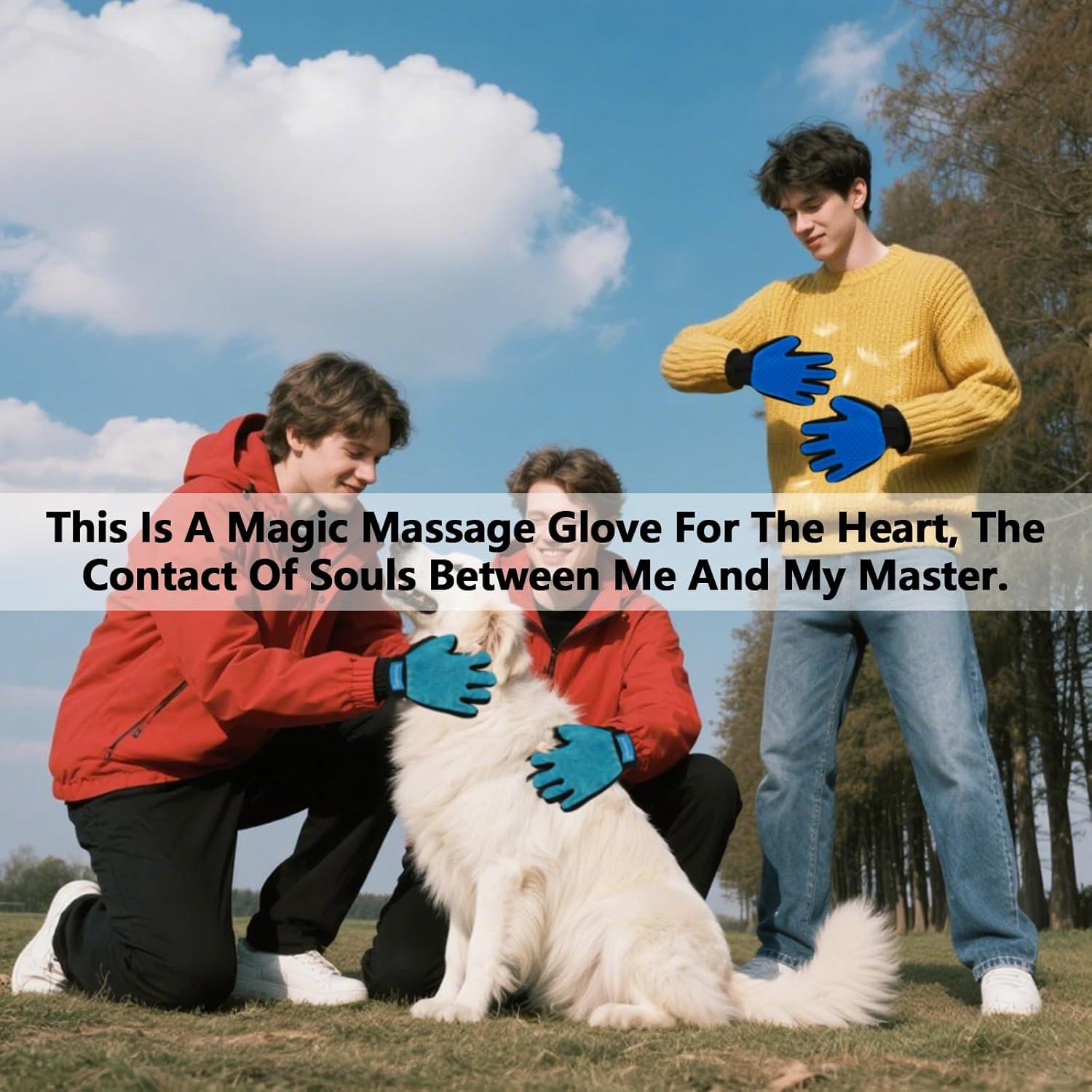 Guante de Aseo Multifuncional ButtonwoodNest 1pieza Azul