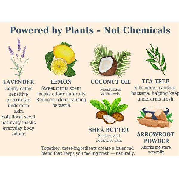 Desodorante Natural Lavanda y Limón El Bosque Ilex 70ml