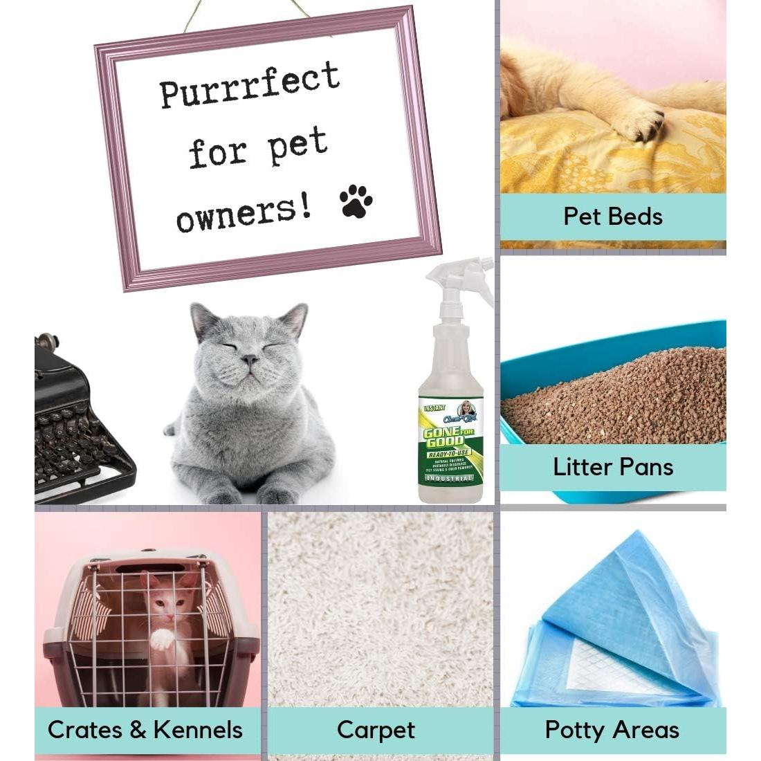 Gone For Good - Removedor Enzimático de Manchas y Olores 3.78L