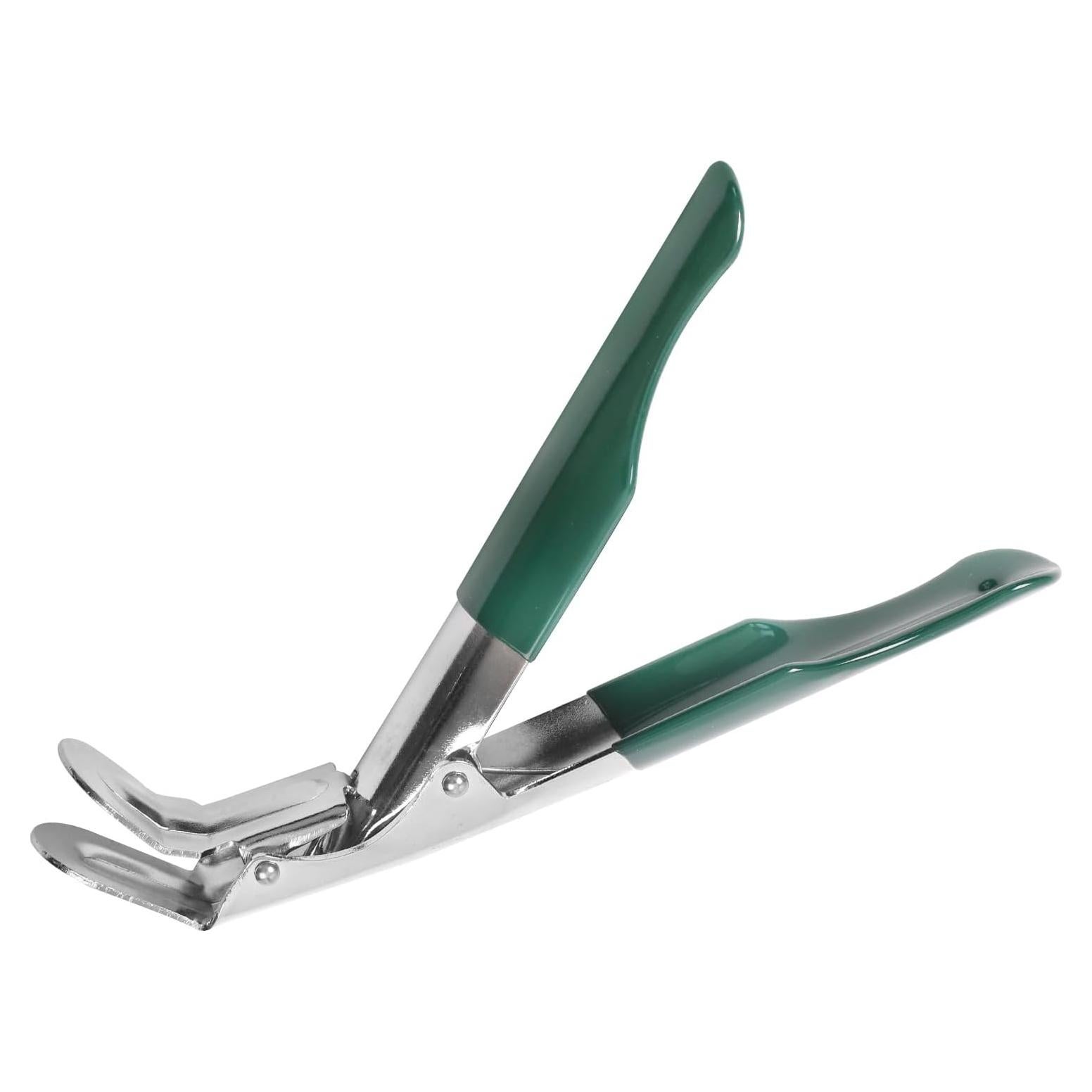 Elevador de Parrilla KAMaster Acero Inoxidable Verde 196g