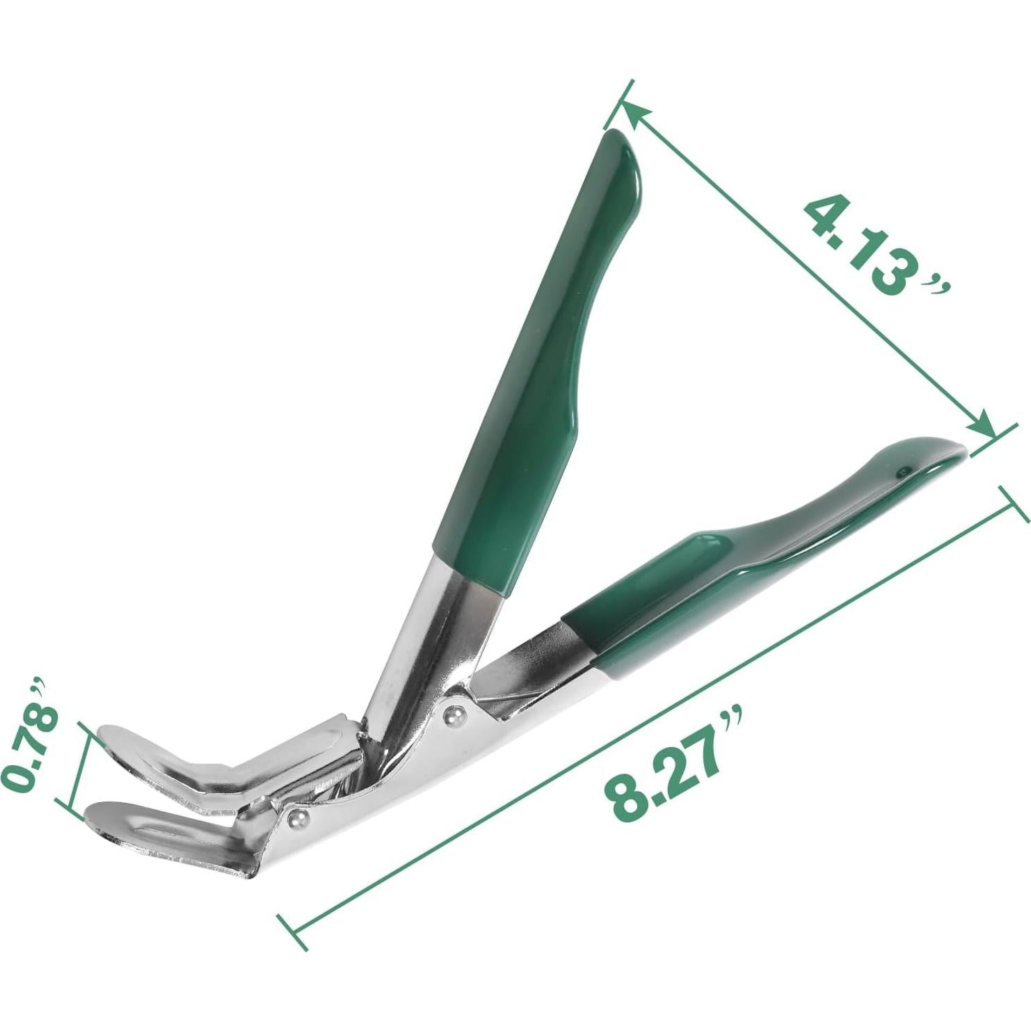 Elevador de Parrilla KAMaster Acero Inoxidable Verde 196g
