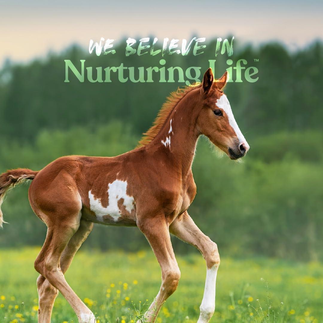 Sustituto de Leche Manna Pro 1.59 kg para Terneros y Cachorros