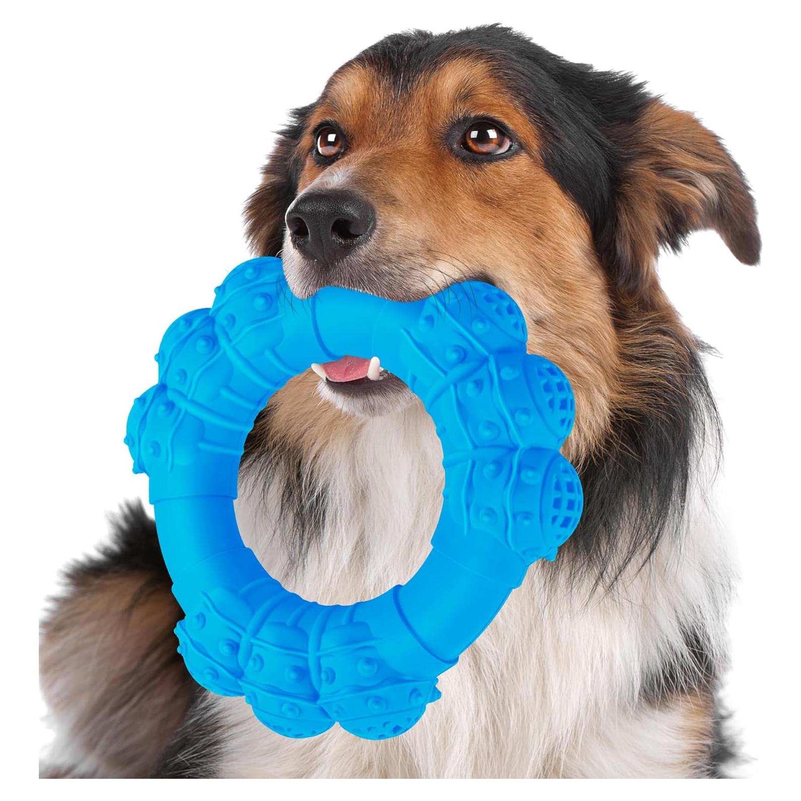 Juguete de anillo para masticar perros DAOZIJI 14cm Azul