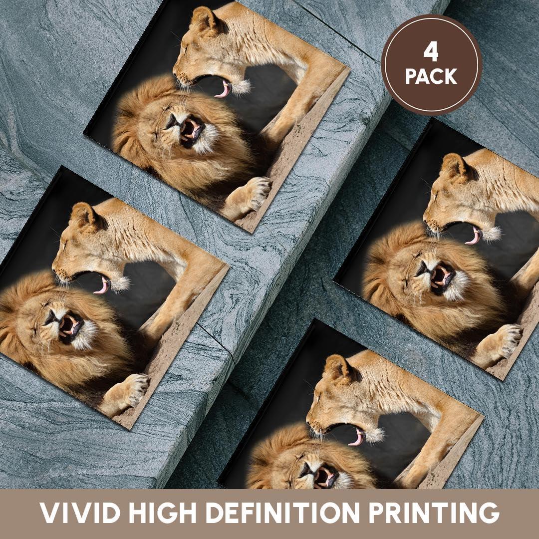 Juego de 4 Posavasos de Cerámica 3dRose Leones Divertidos