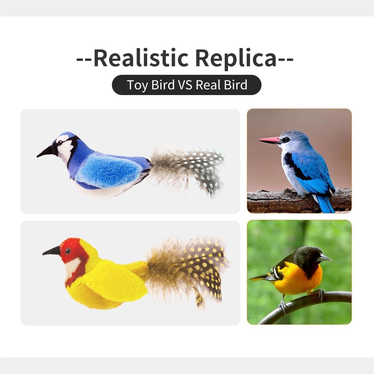 Juguetes Interactivos para Gatos Ecubes con Hierba Gatera - 2 Pájaro