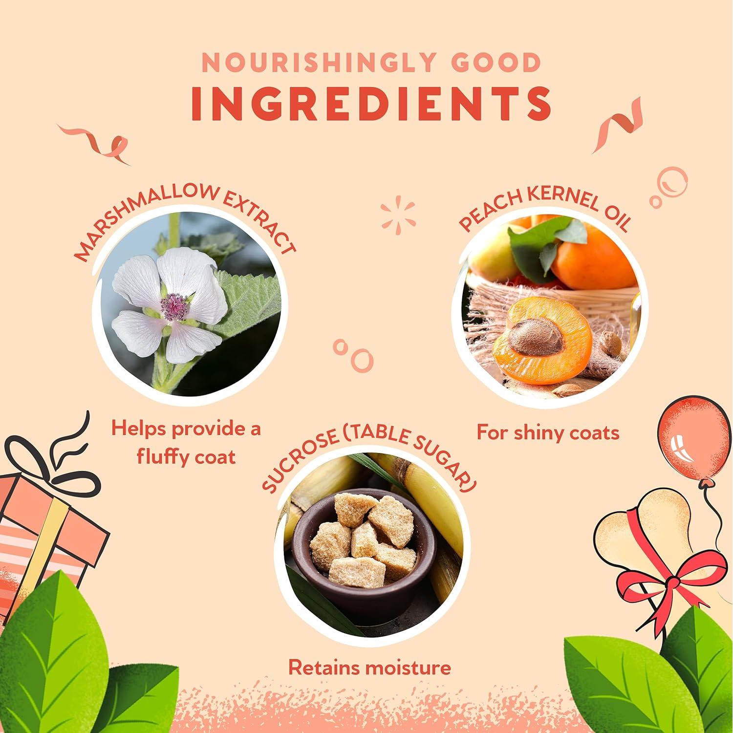 Champú Brillante de Cumpleaños Pet Head 300 ml - Algodón de Azúcar