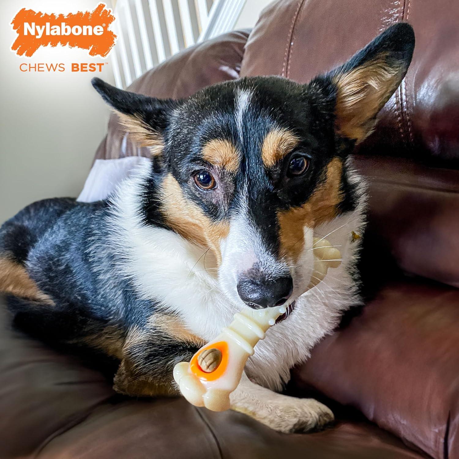 Juguete dispensador de golosinas Nylabone Knuckle Bone Mediano