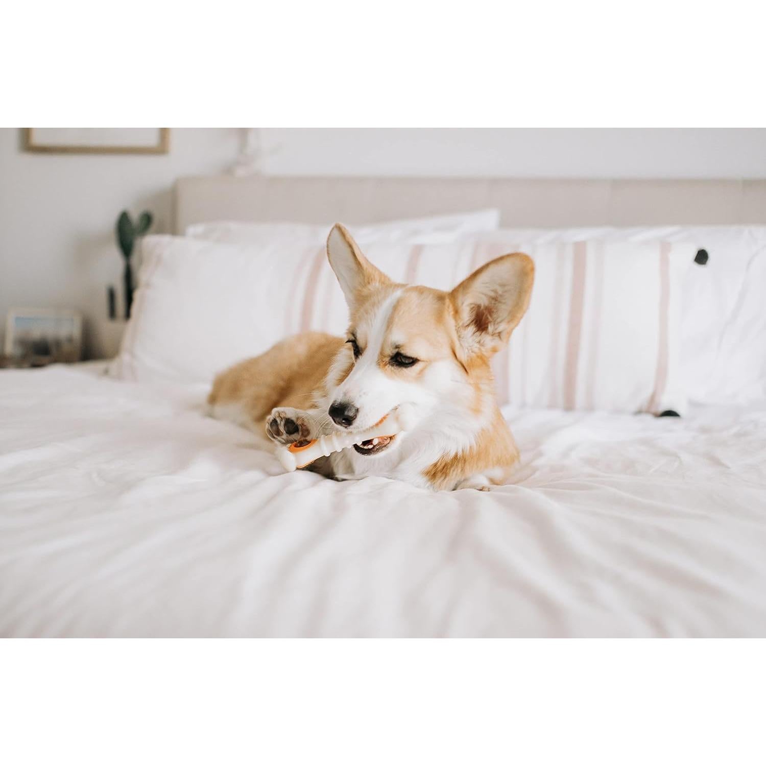 Juguete dispensador de golosinas Nylabone Knuckle Bone Mediano