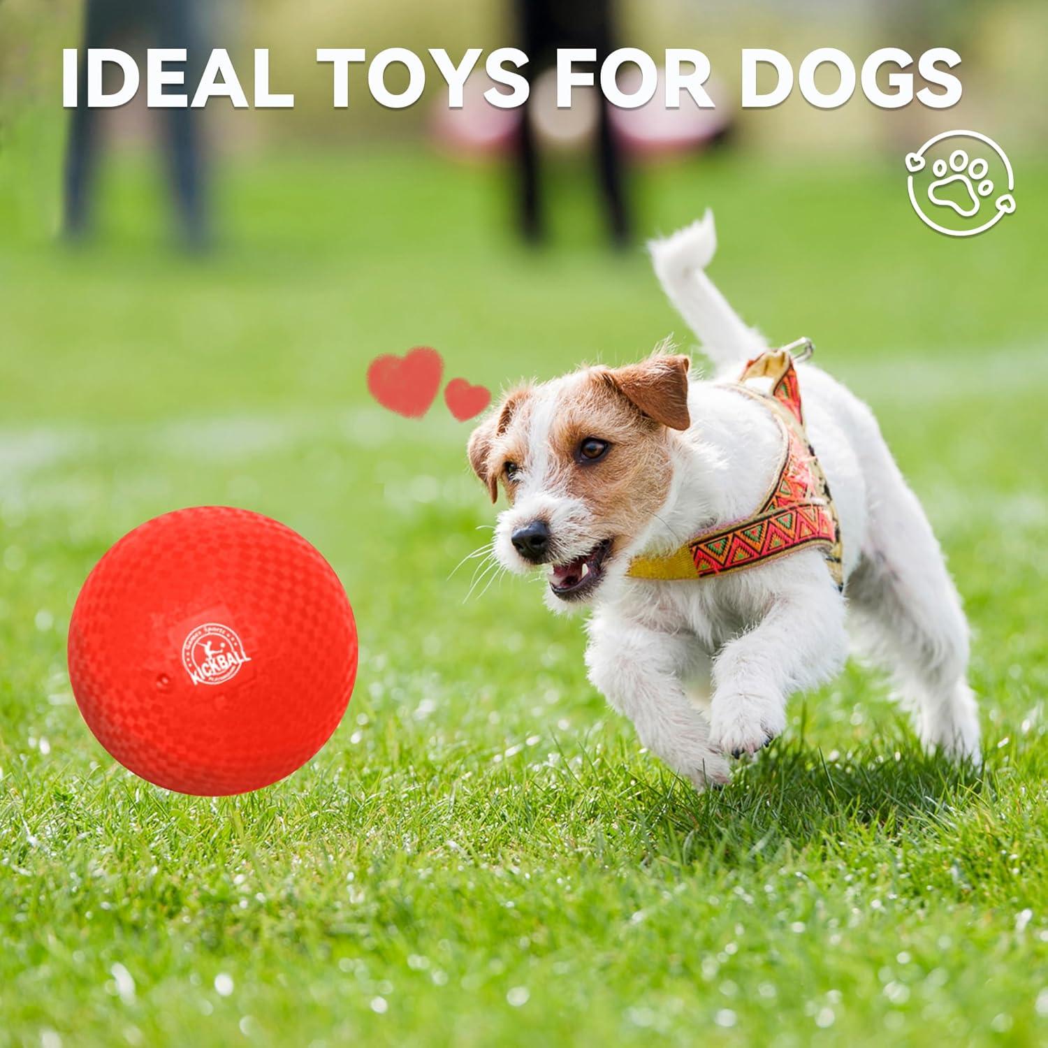 Set de 12 pelotas de dodgeball COAMZPARTY 21.6 cm multicolor